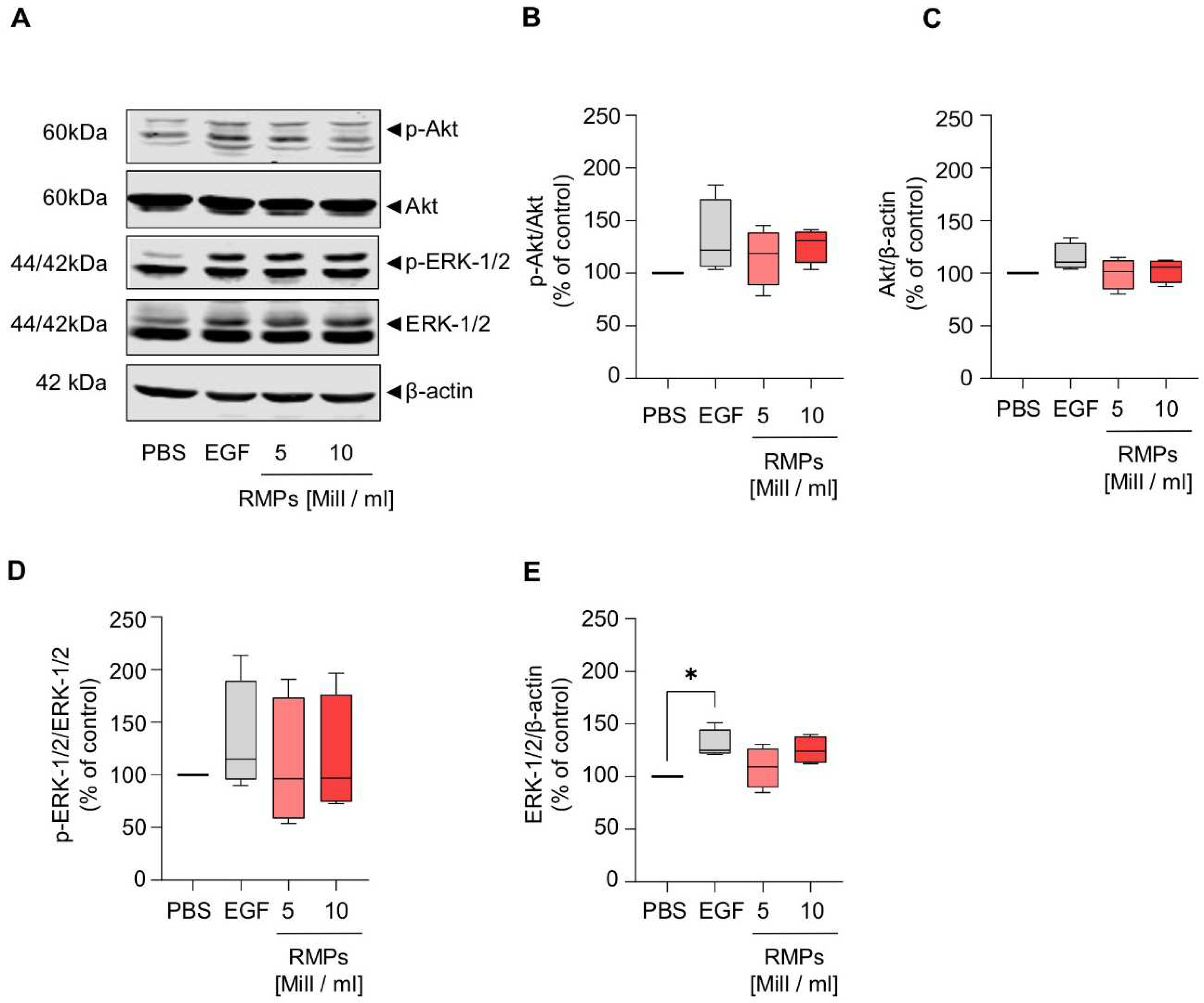 Ijms 23 09323 g006 550