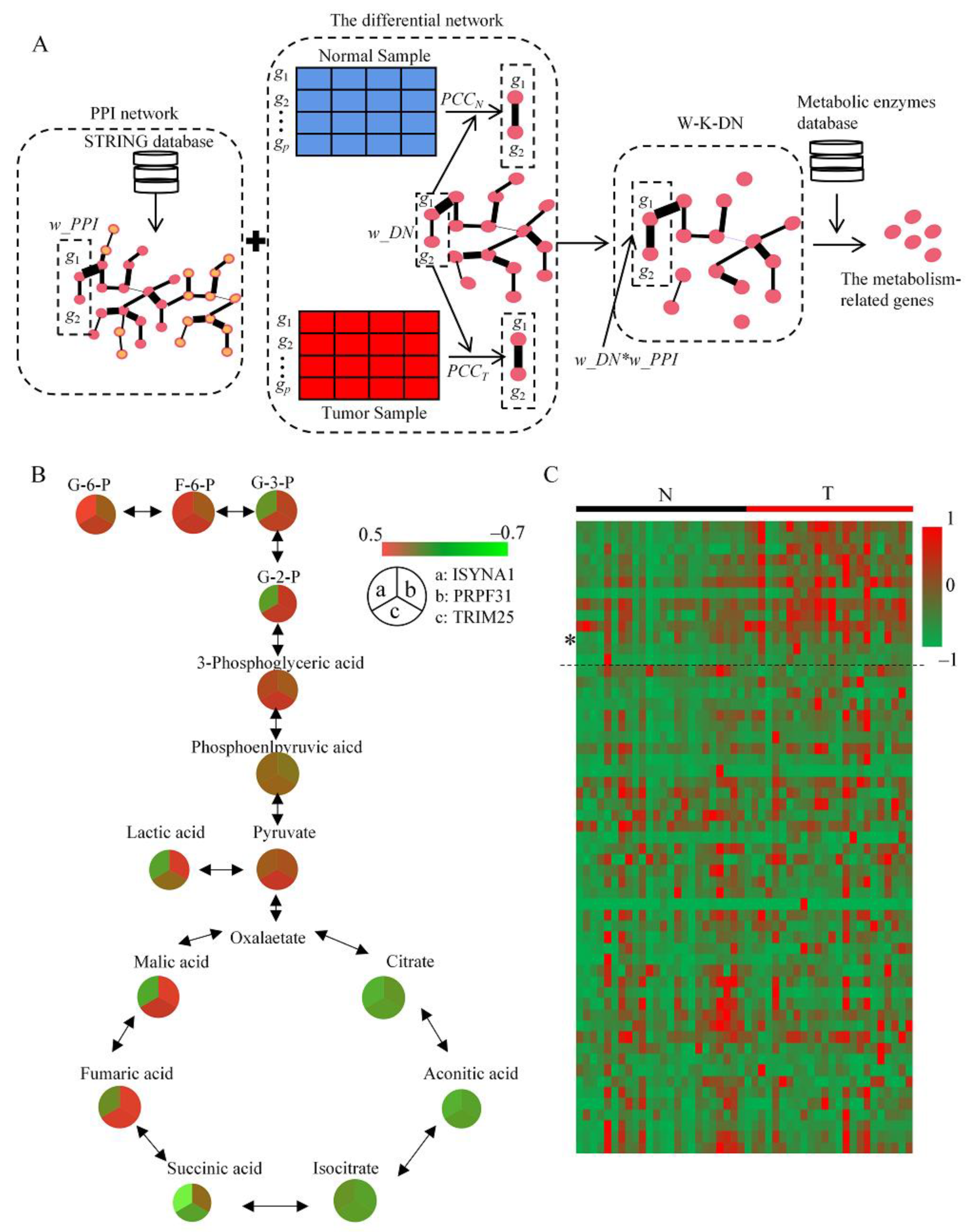 Ijms 23 09325 g001 550