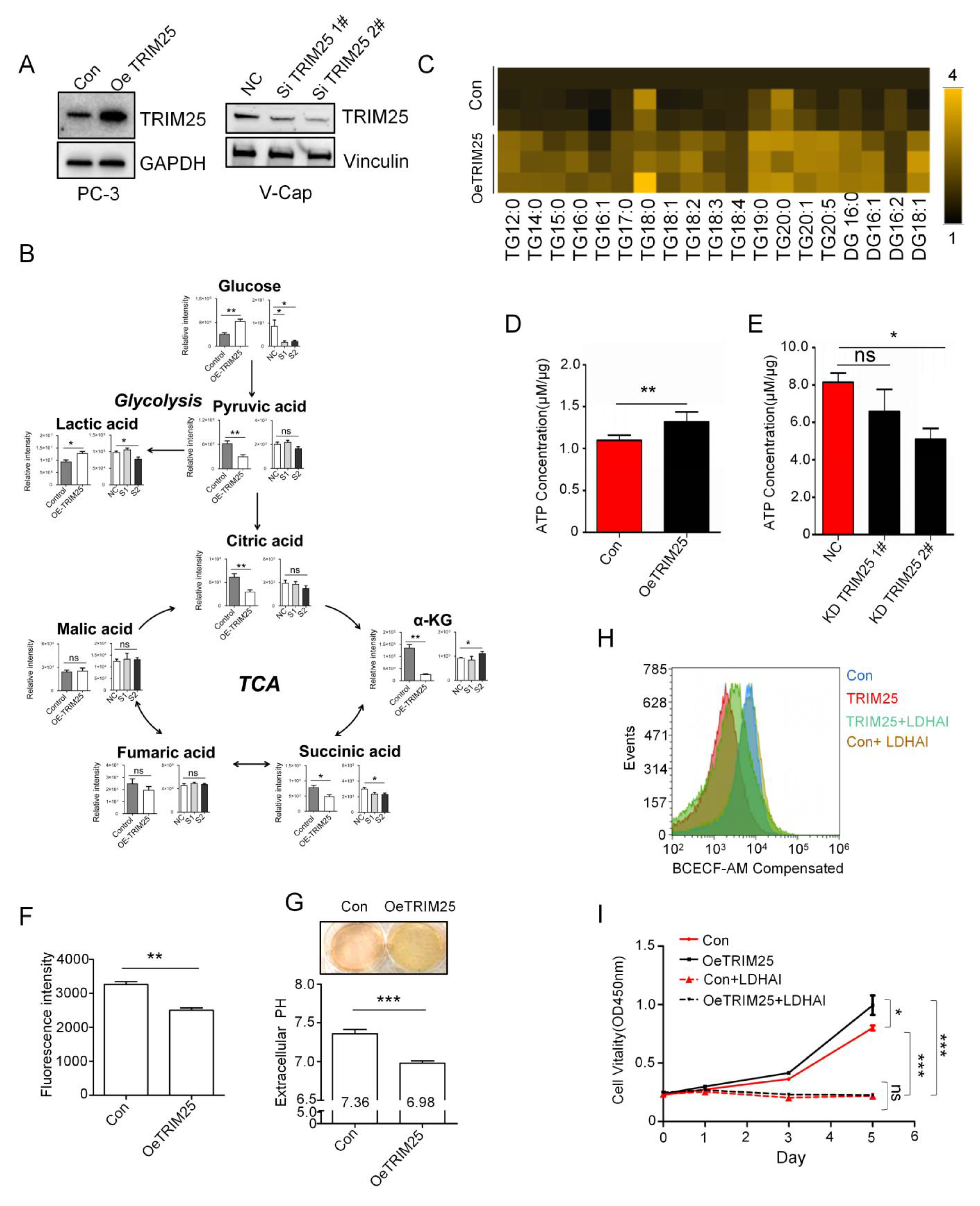 Ijms 23 09325 g002 550