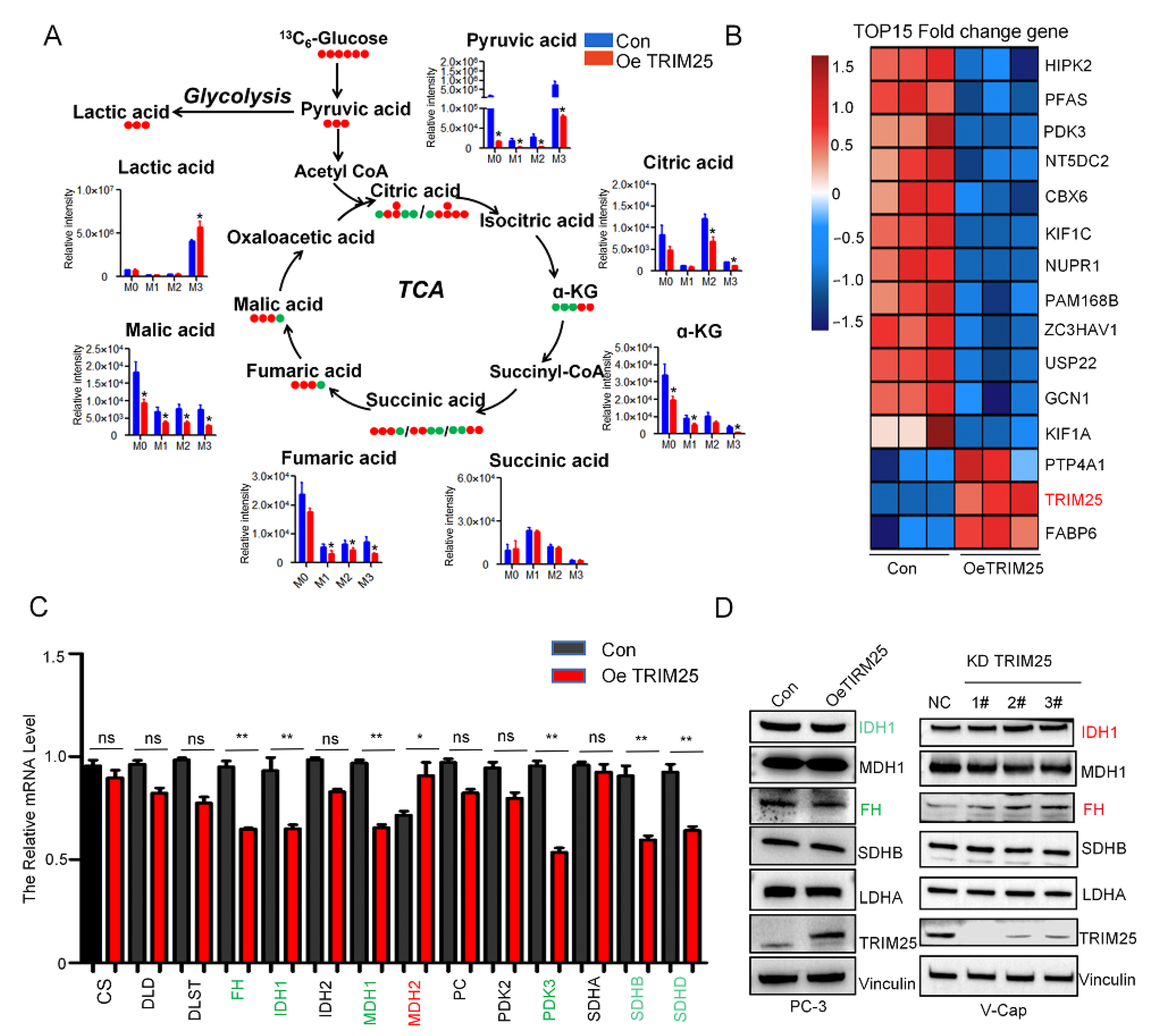 Ijms 23 09325 g003 550