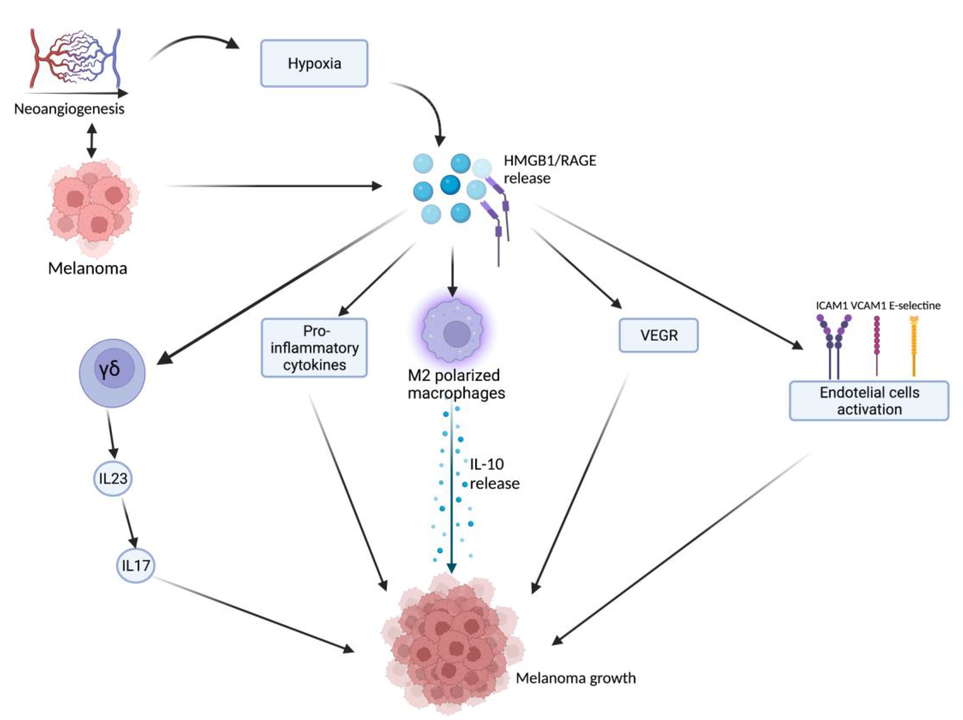 Ijms 23 09327 g001 Ijms 23 09327 g001