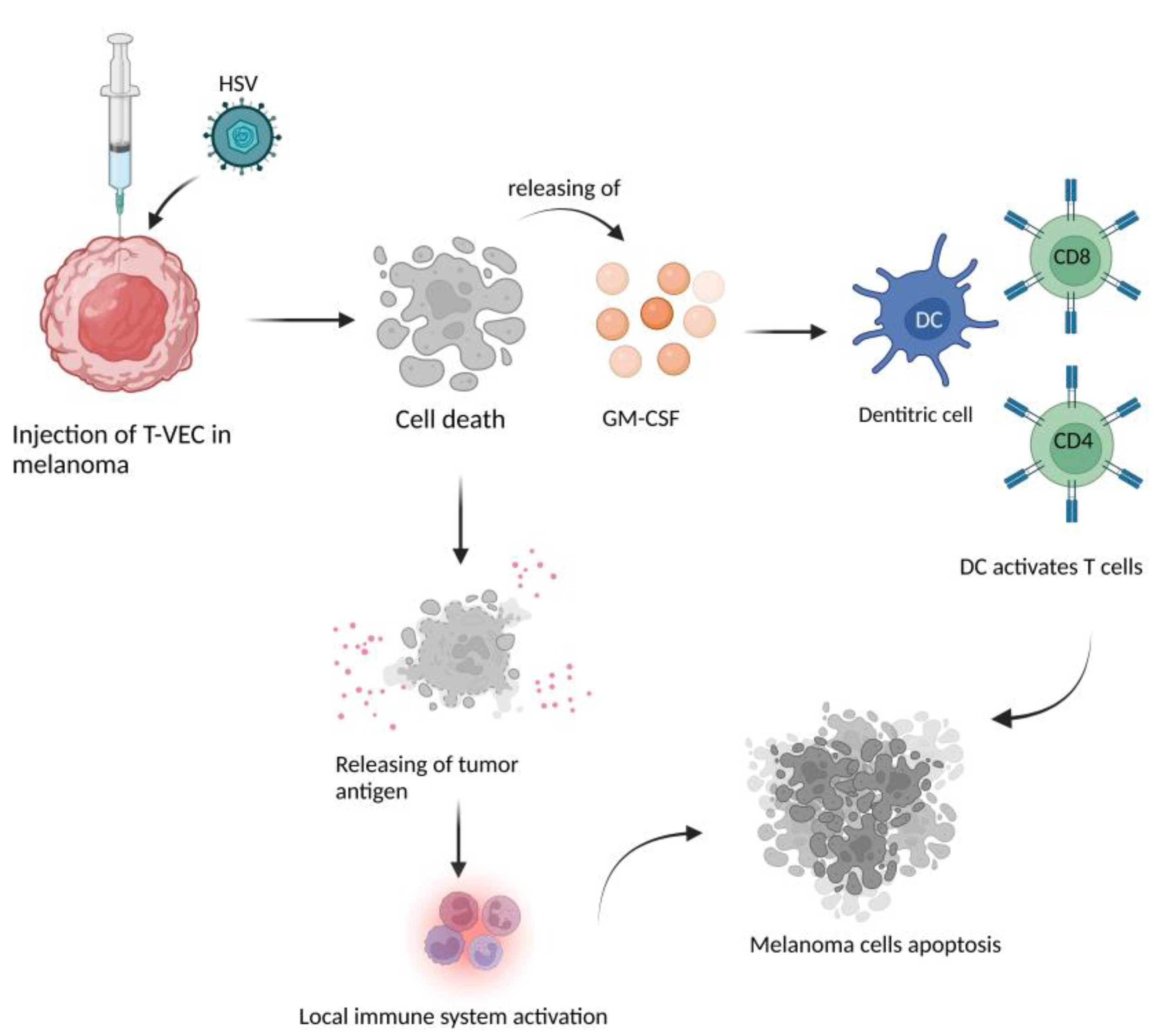 Ijms 23 09327 g003 Ijms 23 09327 g003