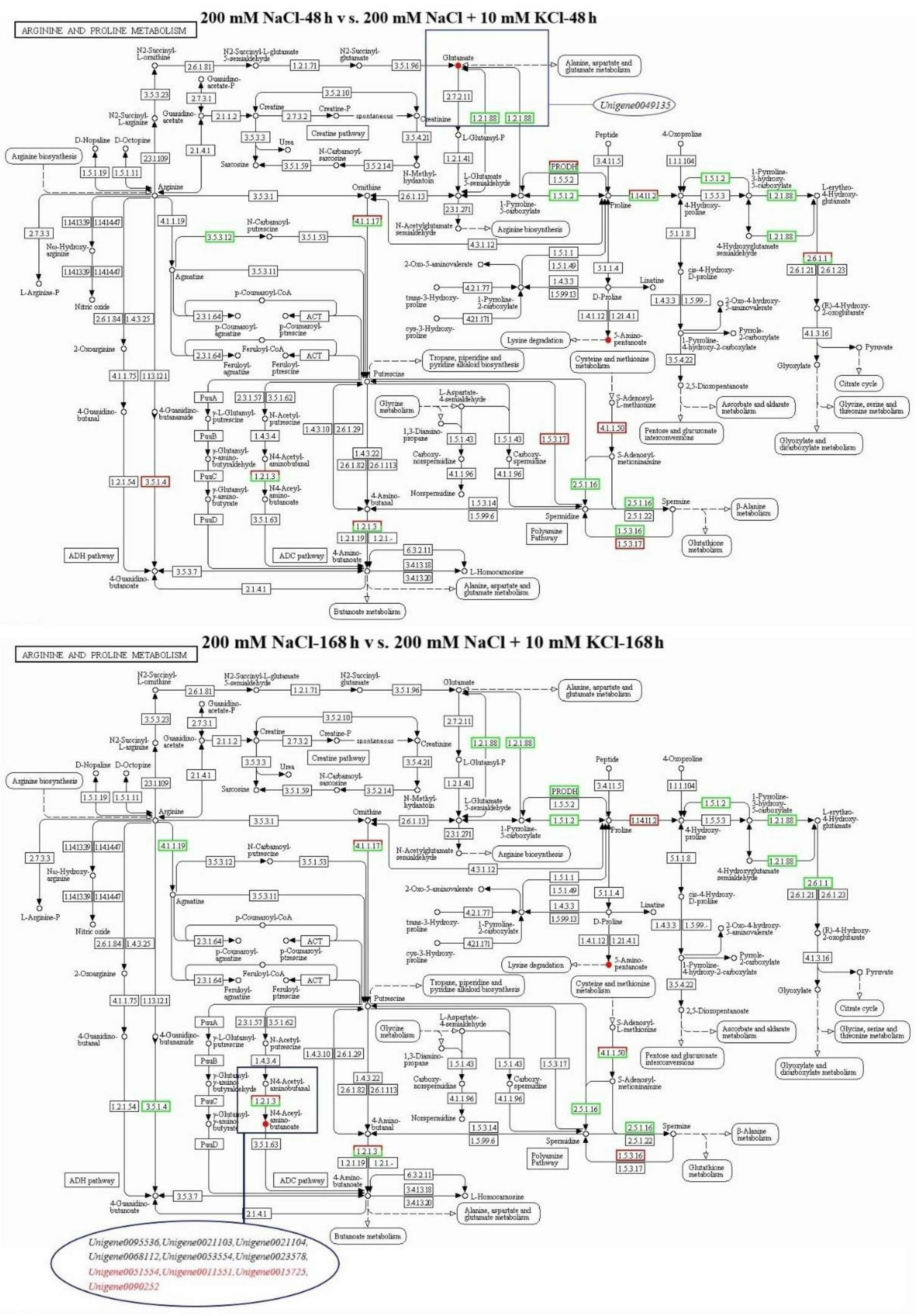 Ijms 23 09331 g002 550