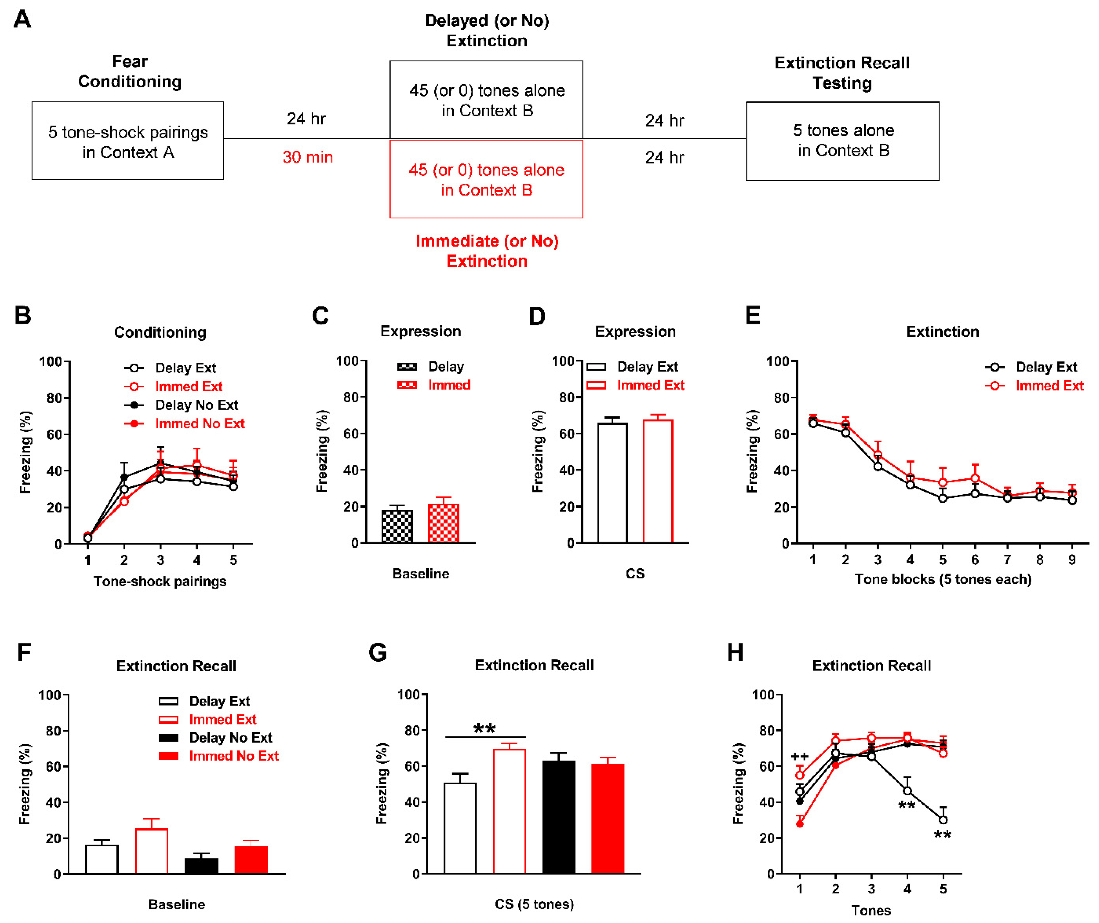 IJMS | Free Full-Text | Cannabidiol Prevents Spontaneous Fear 