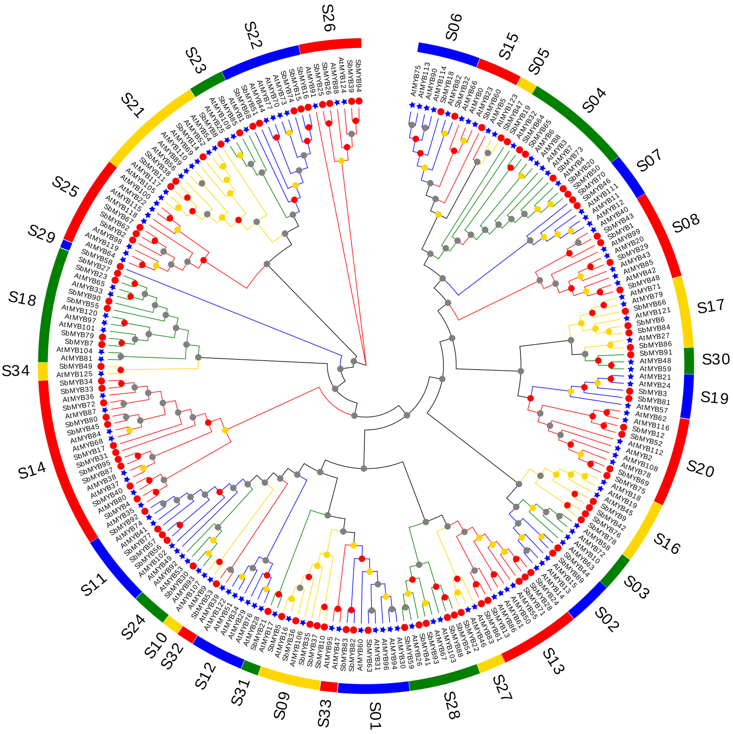 Ijms 23 09342 g002 Ijms 23 09342 g002