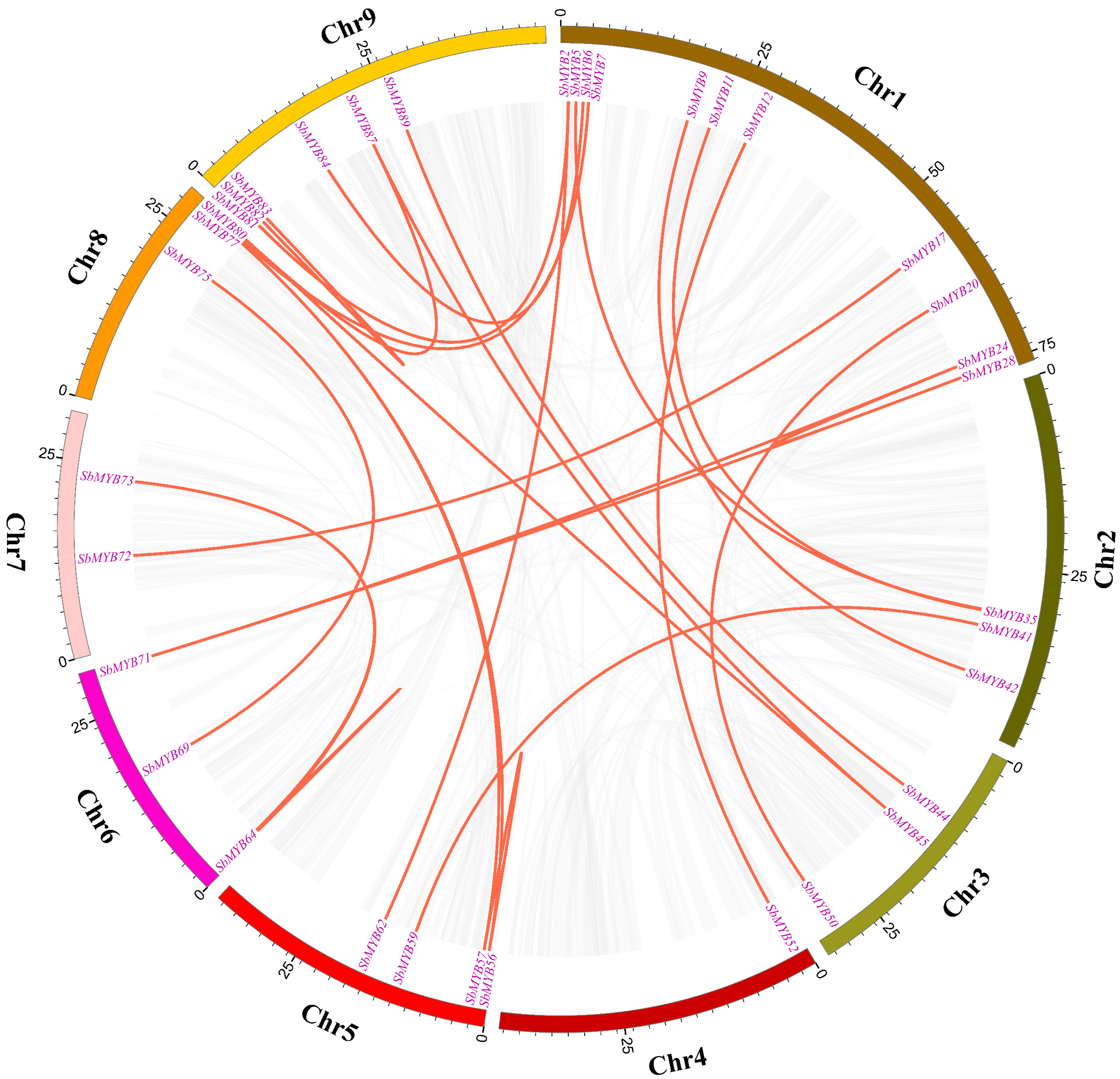 Ijms 23 09342 g004 Ijms 23 09342 g004