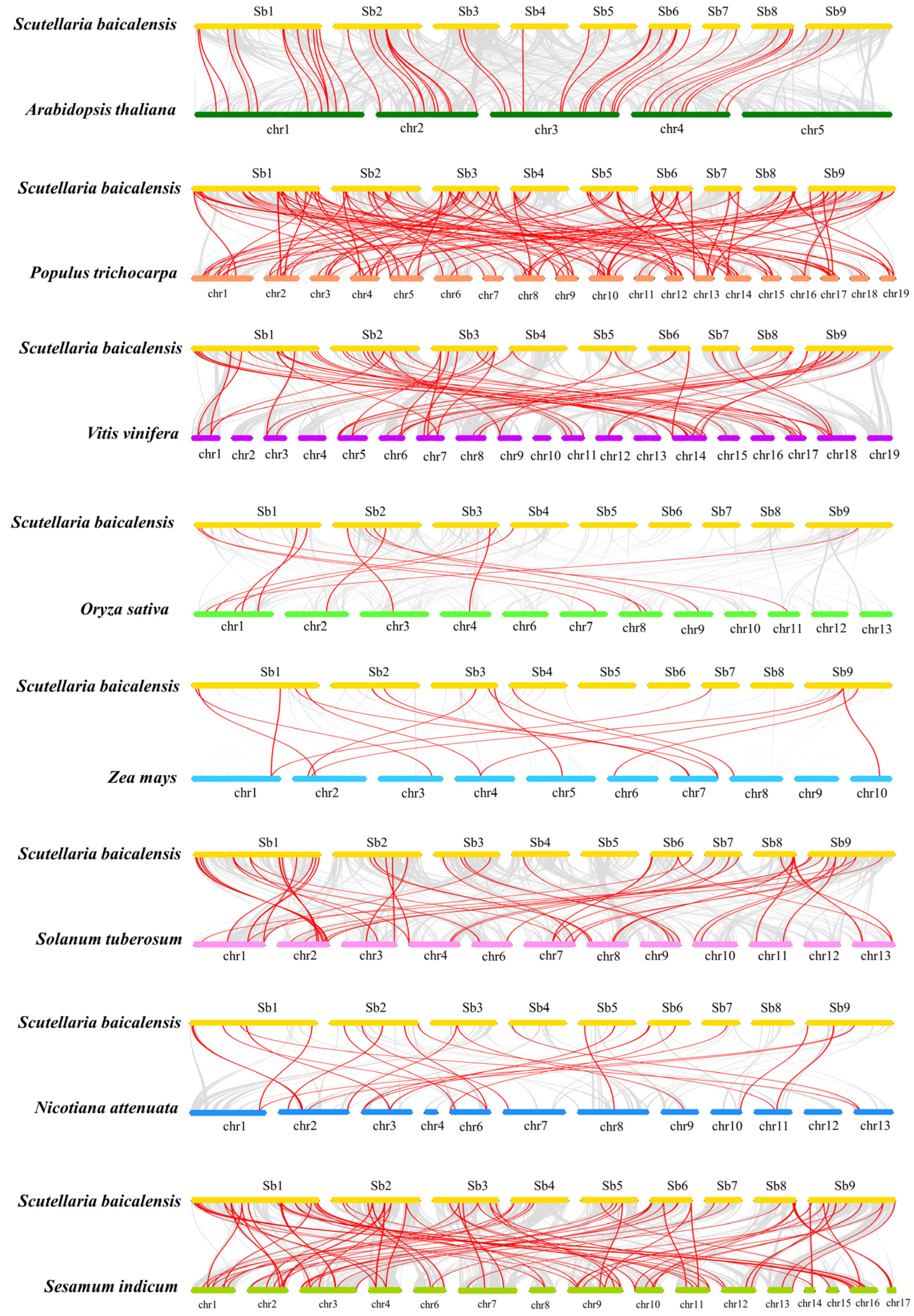 Ijms 23 09342 g005 Ijms 23 09342 g005