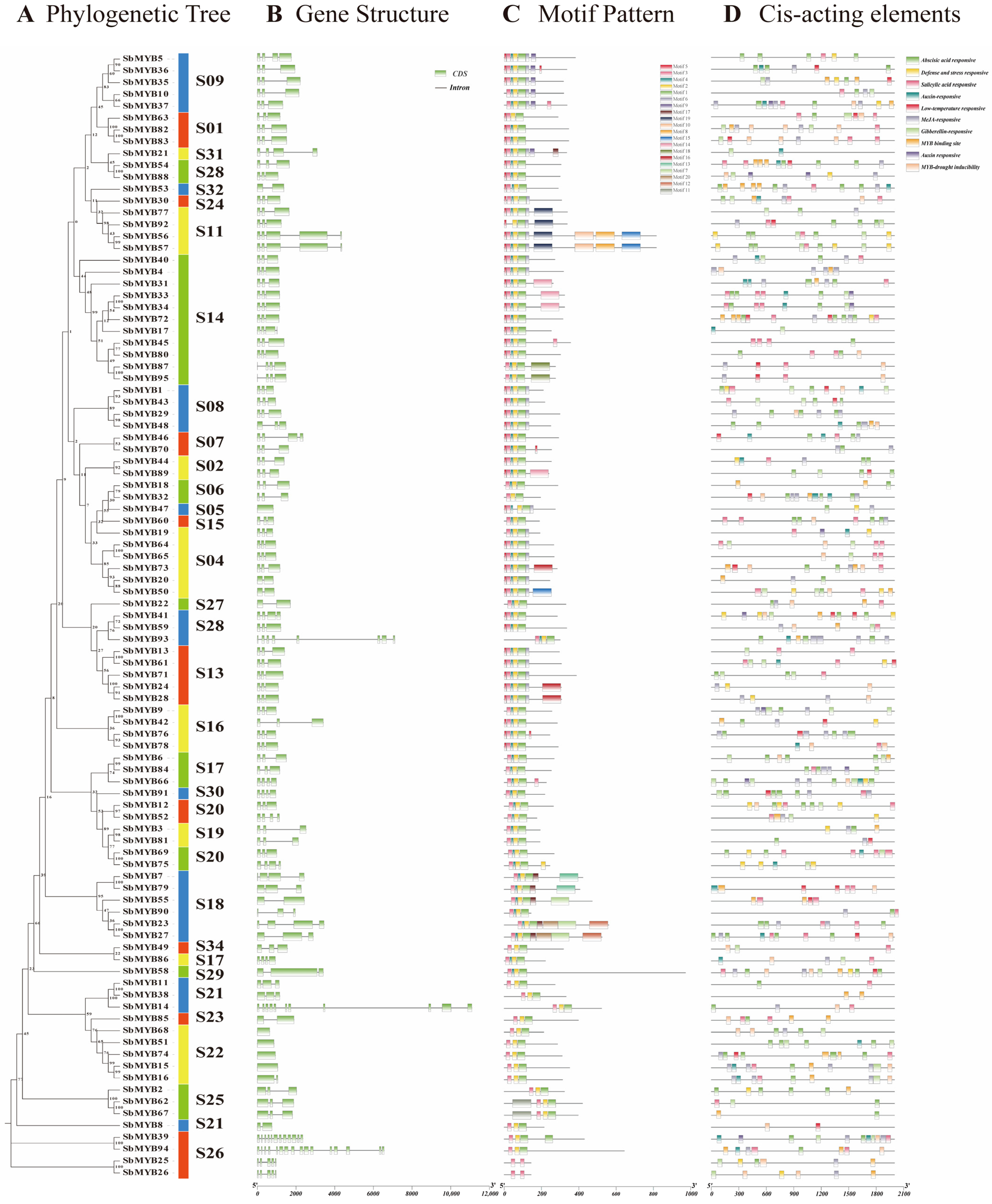 Ijms 23 09342 g006 Ijms 23 09342 g006