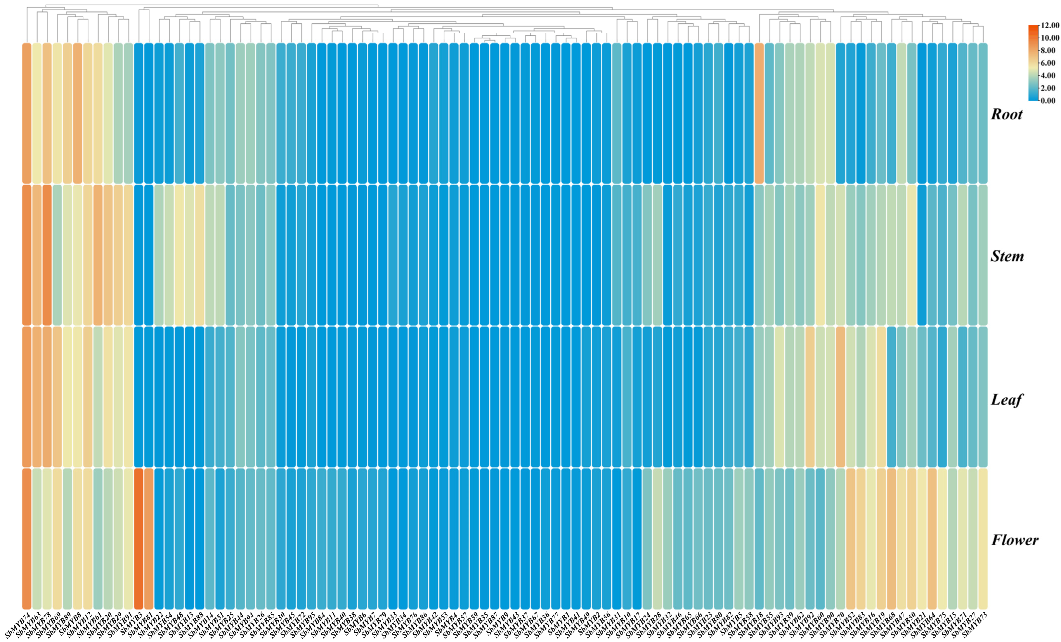 Ijms 23 09342 g007 Ijms 23 09342 g007