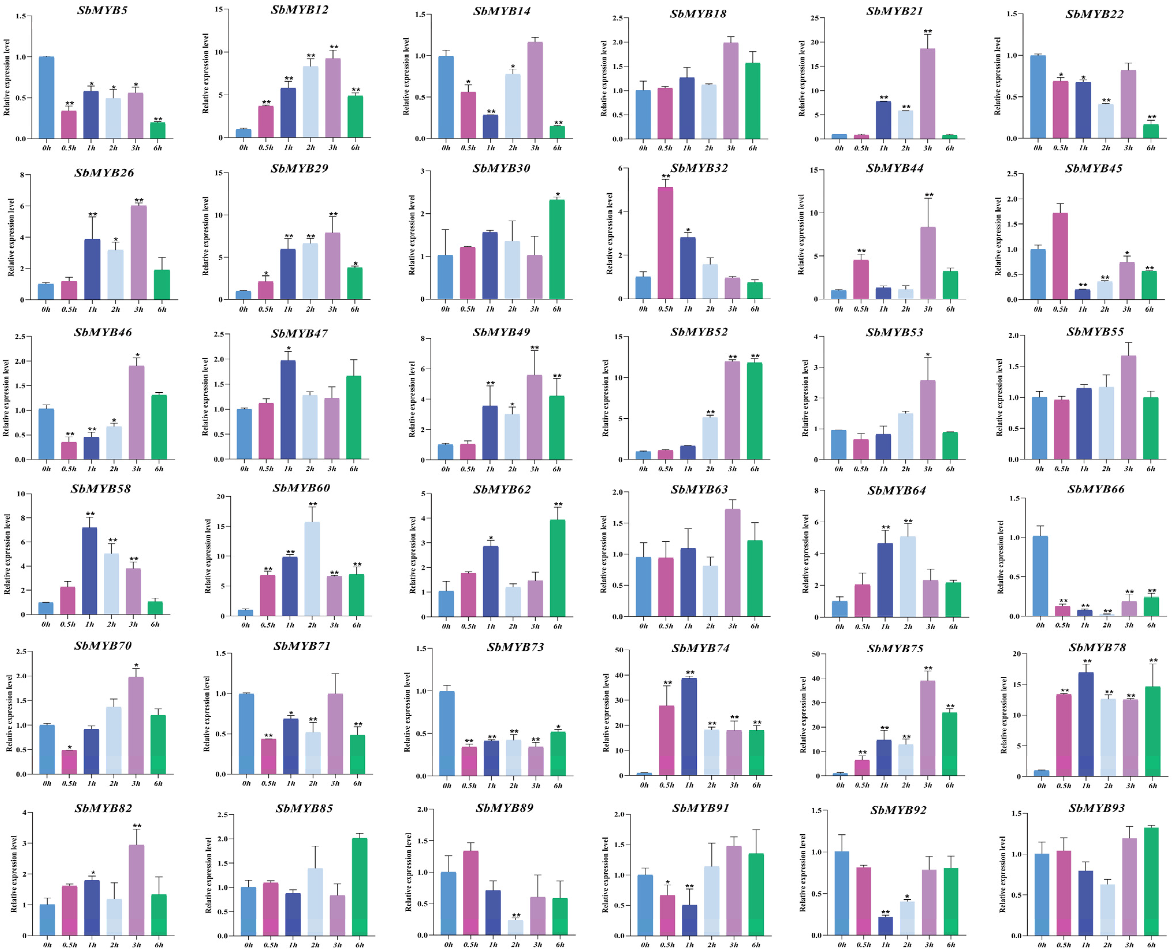 Ijms 23 09342 g009 Ijms 23 09342 g009