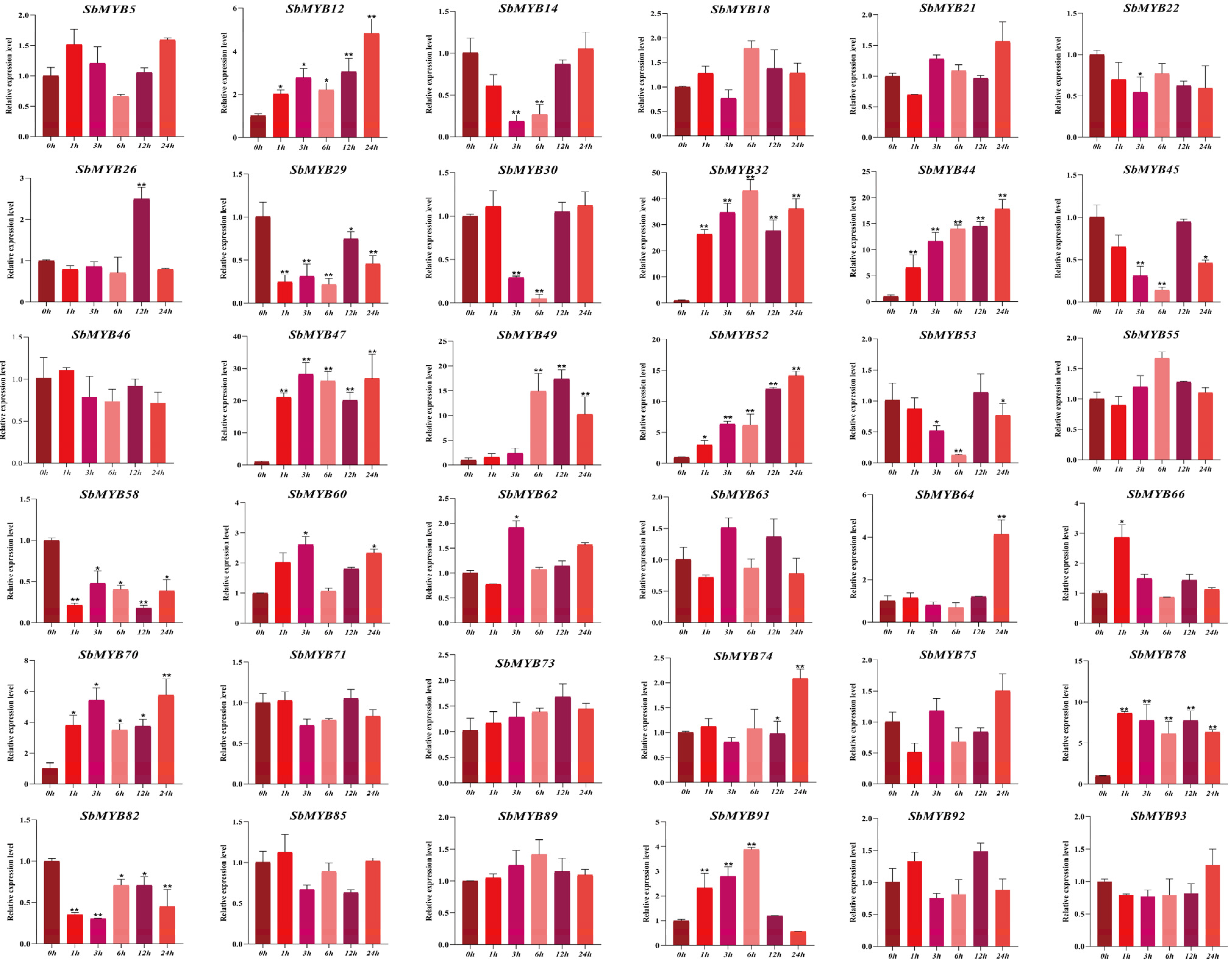 Ijms 23 09342 g010 Ijms 23 09342 g010