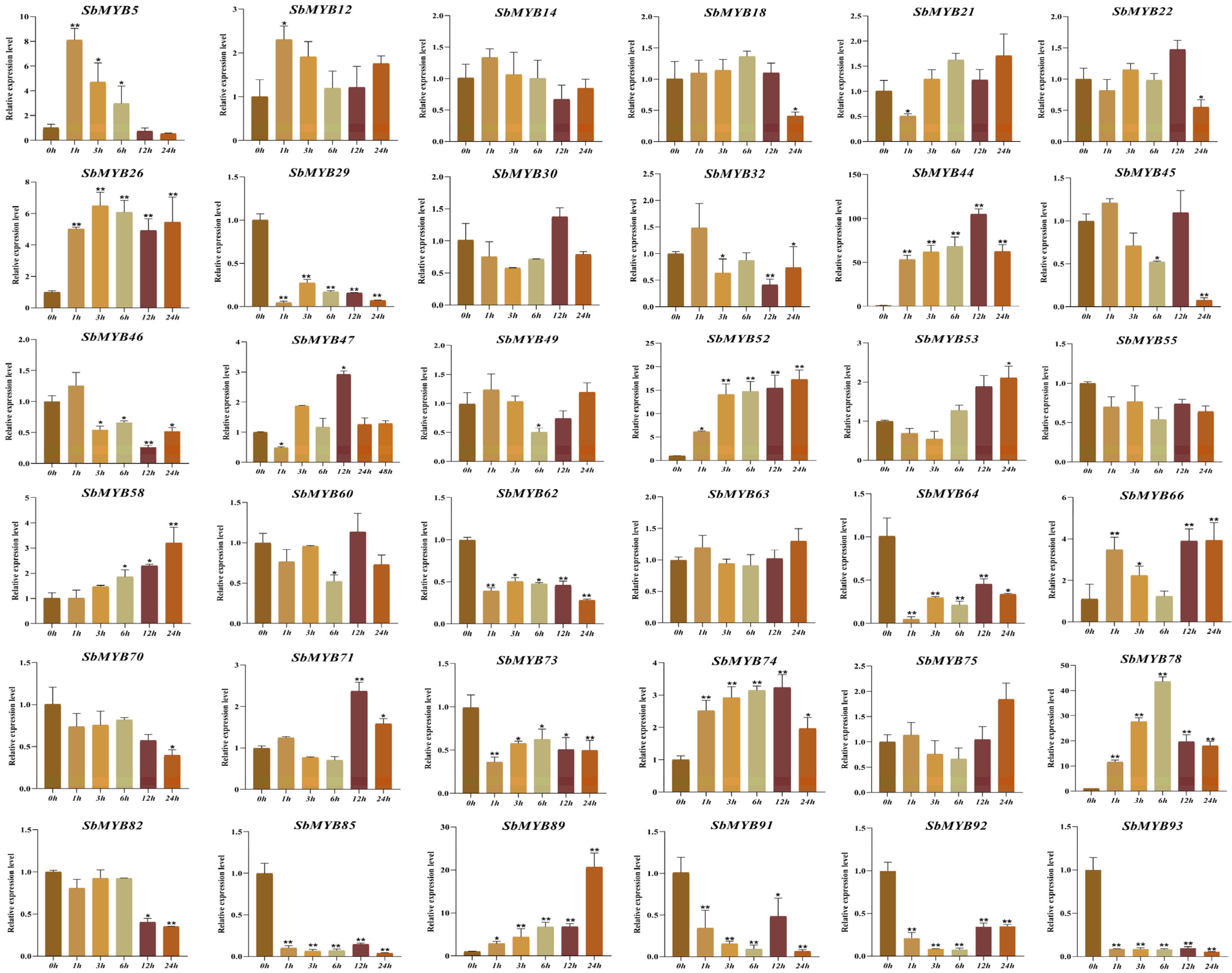 Ijms 23 09342 g011 Ijms 23 09342 g011