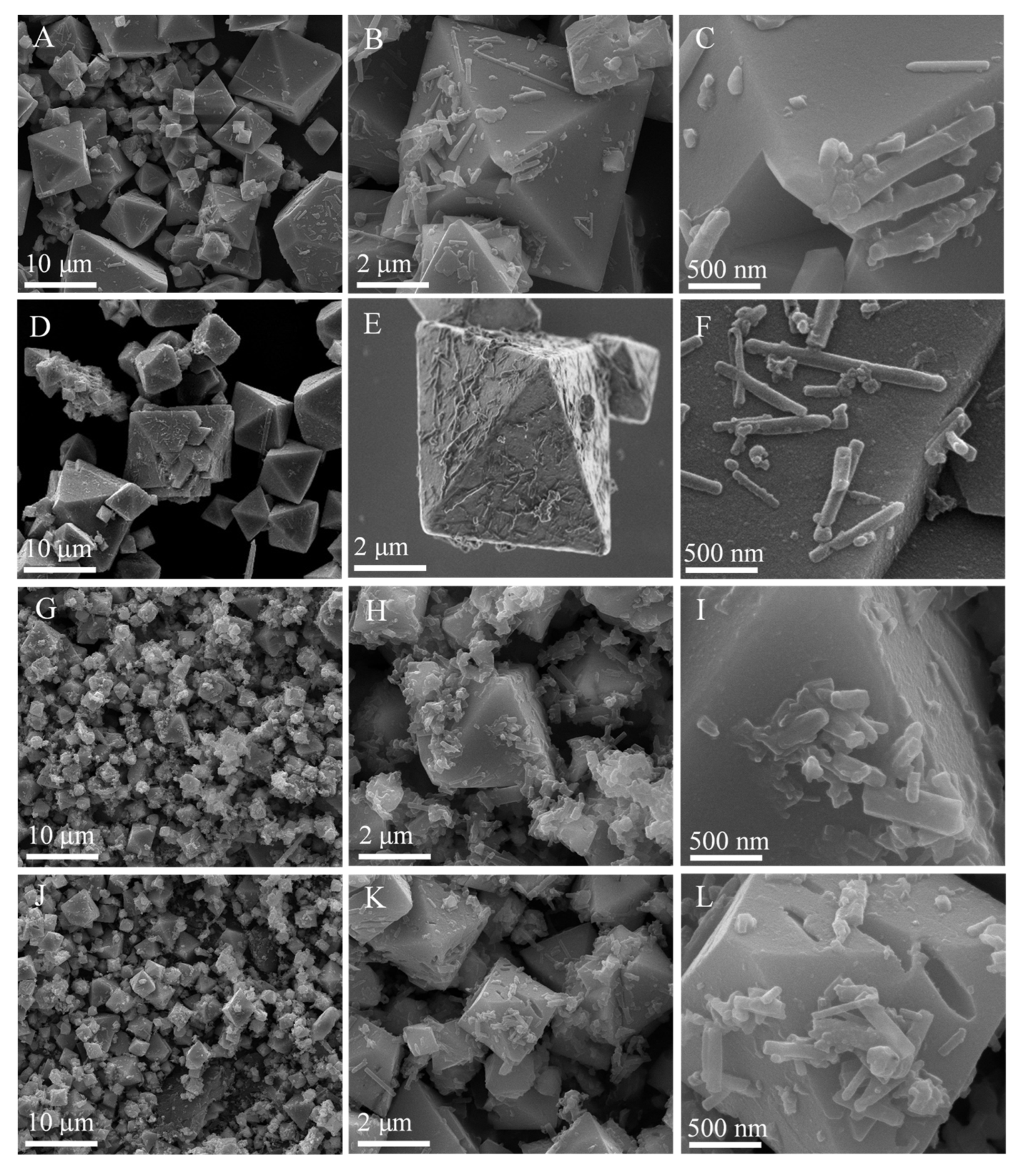 Ijms 23 09343 g002 550