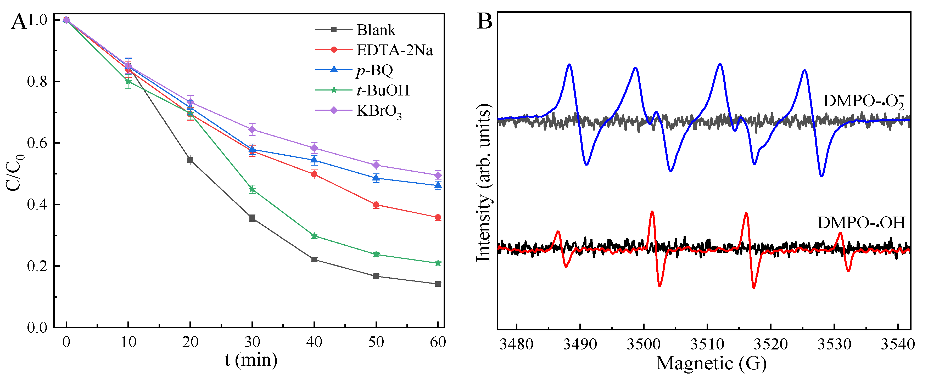 Ijms 23 09343 g007 550