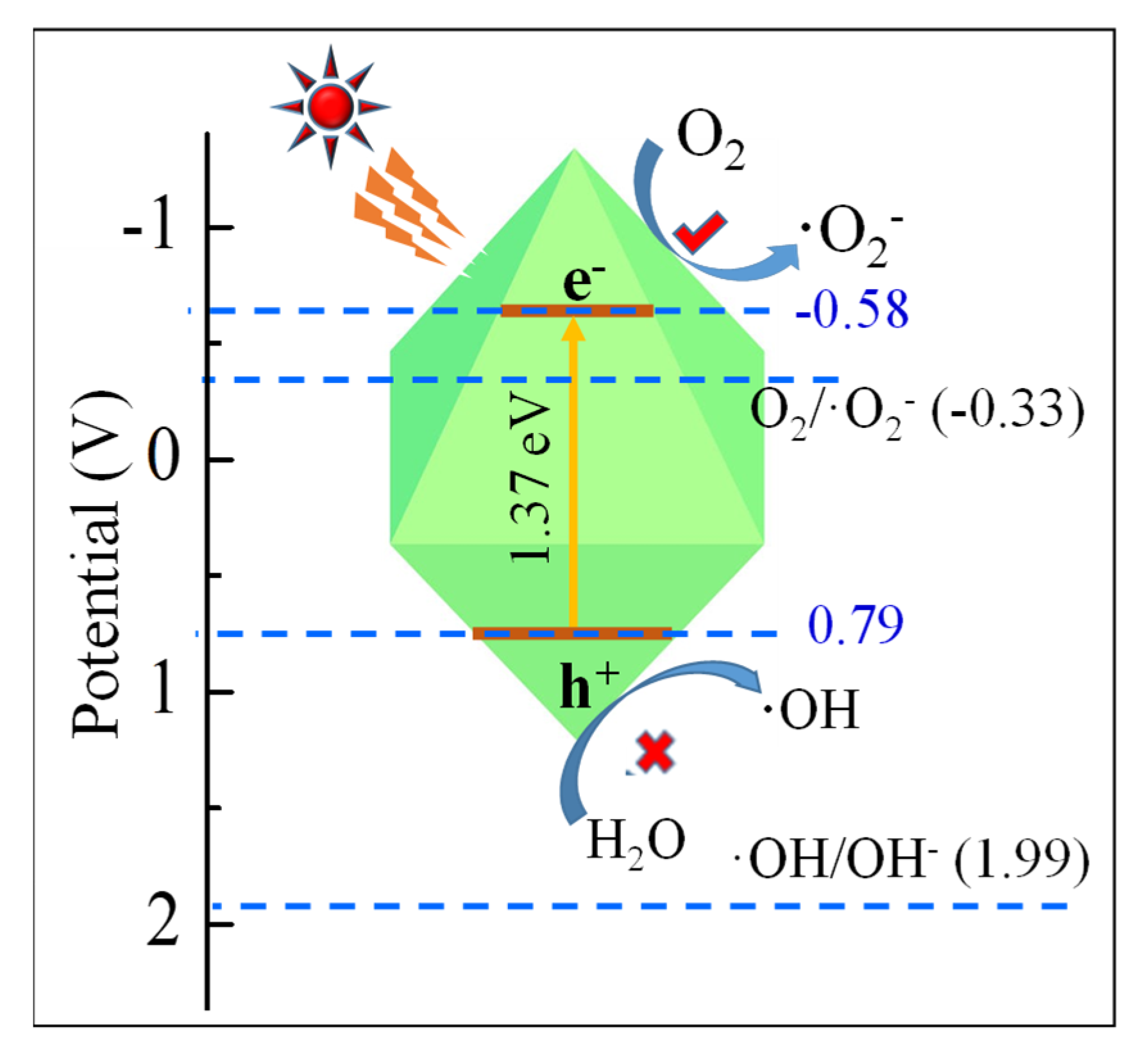 Ijms 23 09343 g008 550