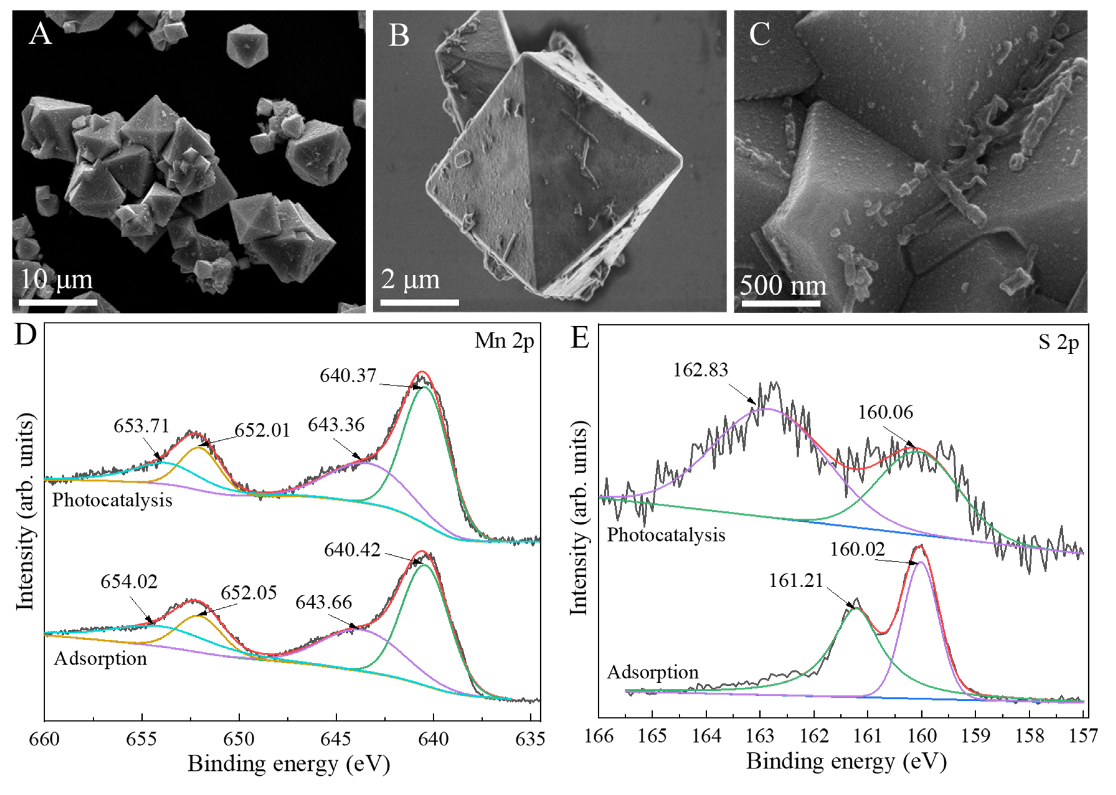 Ijms 23 09343 g009 550