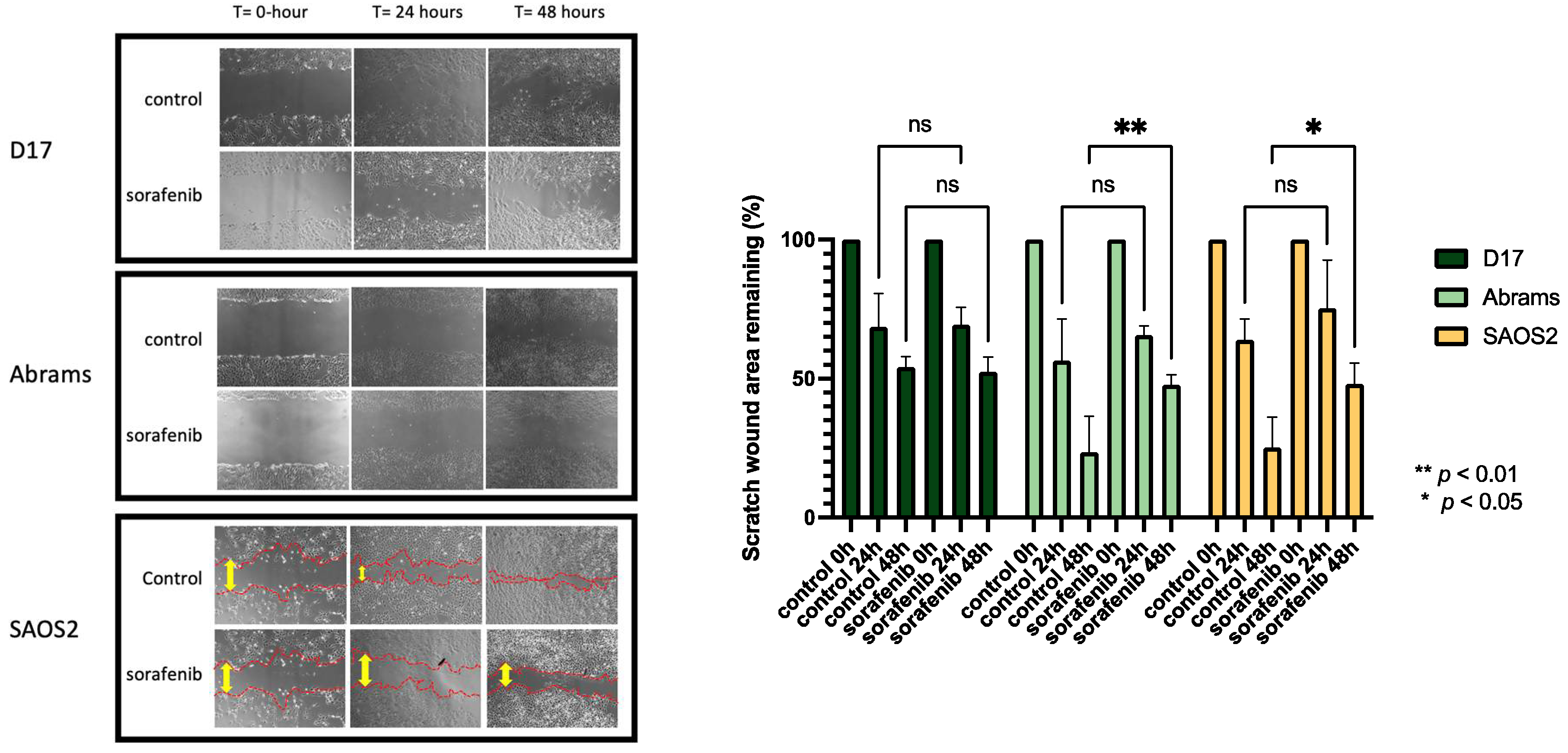 Ijms 23 09345 g002 550