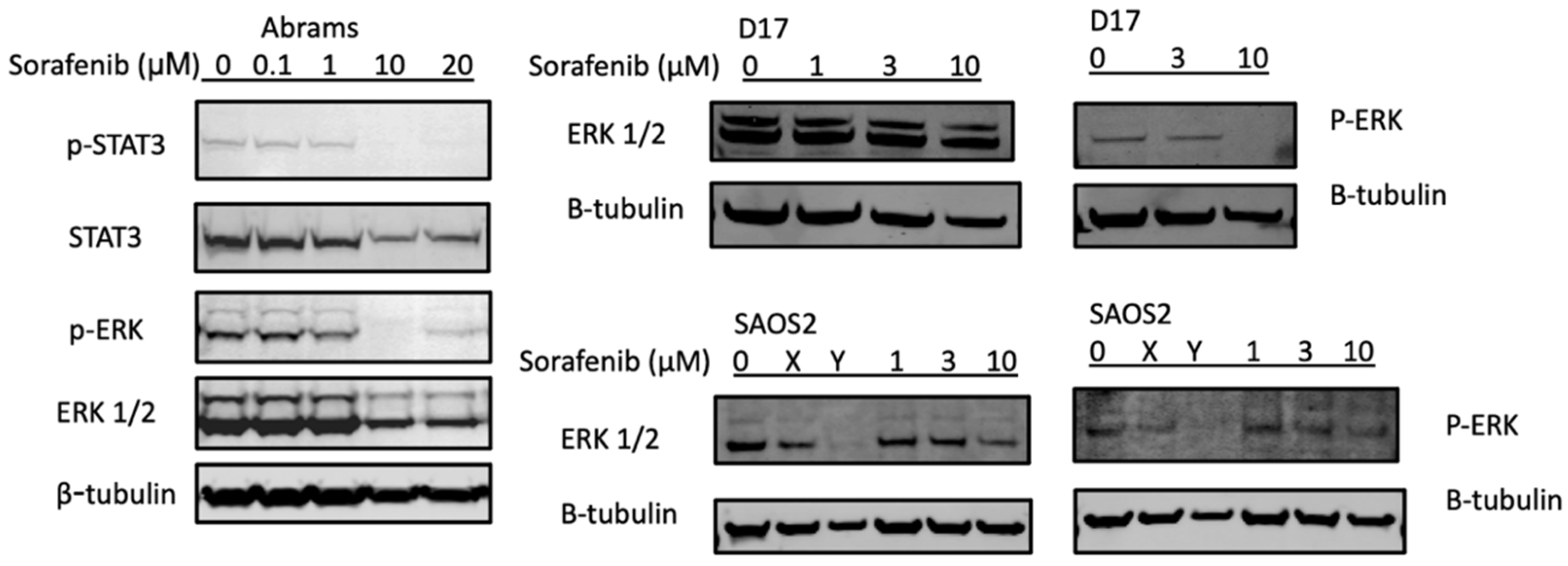 Ijms 23 09345 g003 550