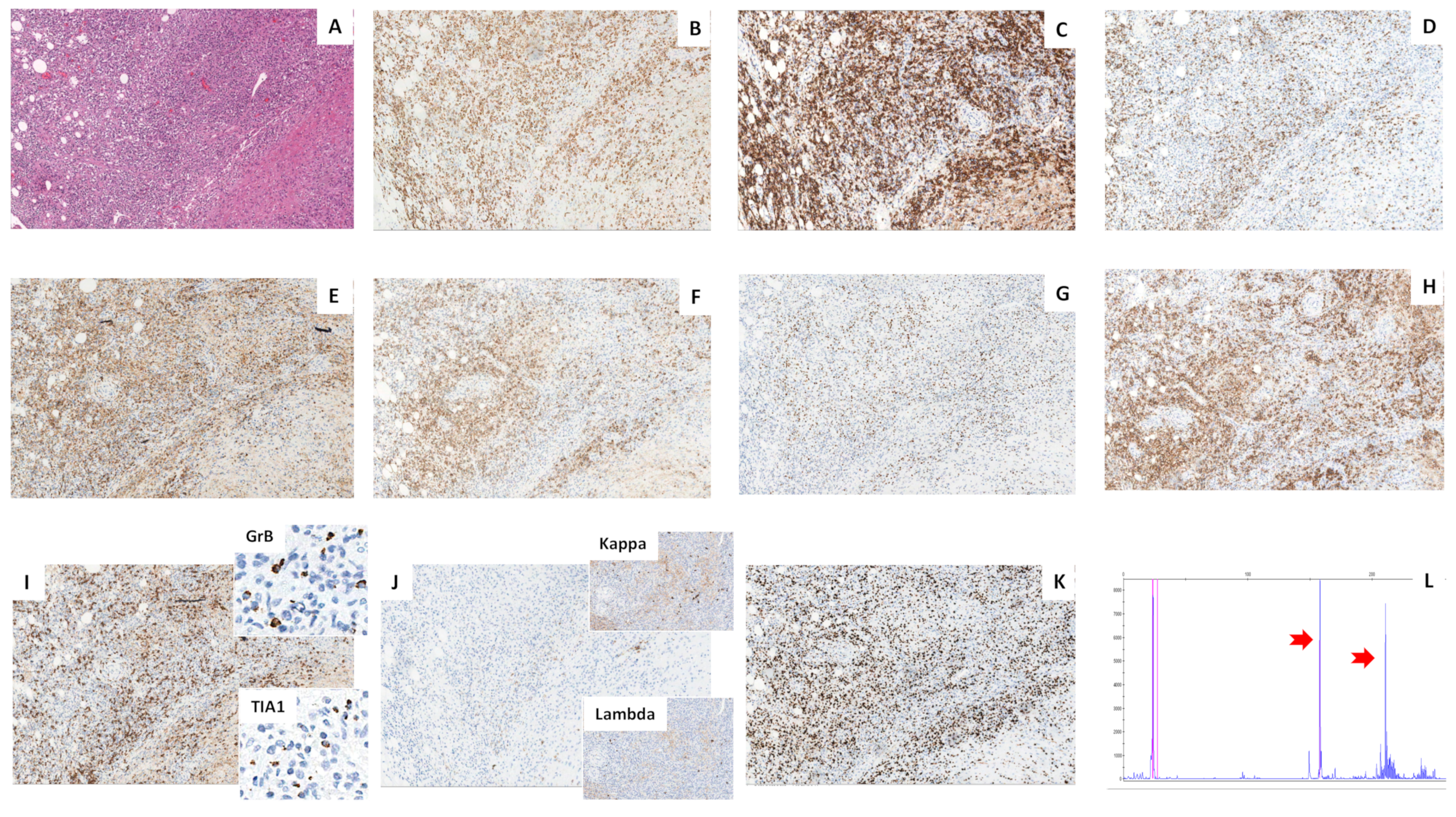 Ijms 23 09349 g002 550