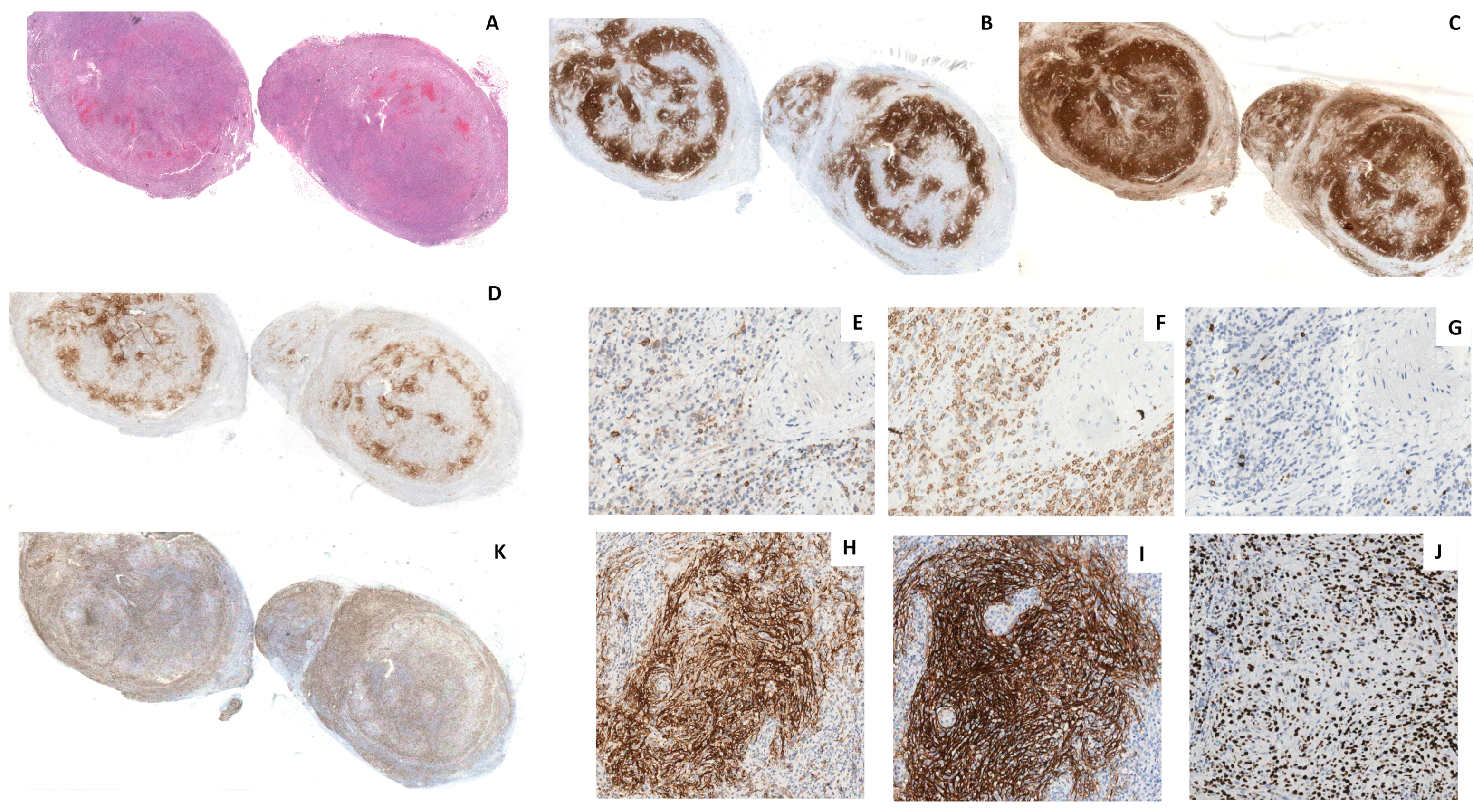 Ijms 23 09349 g003 550