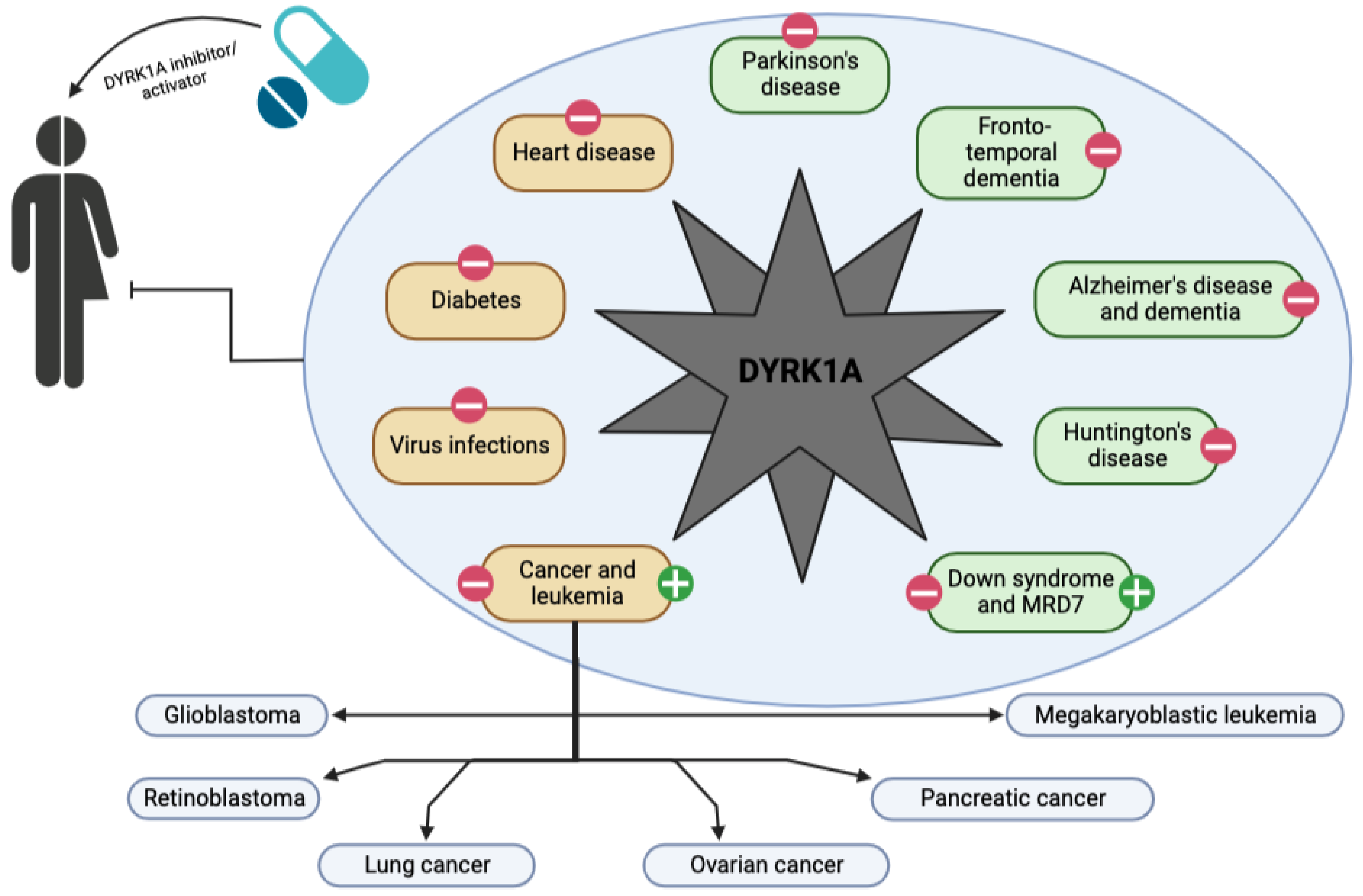 Ijms 23 09355 g003 550