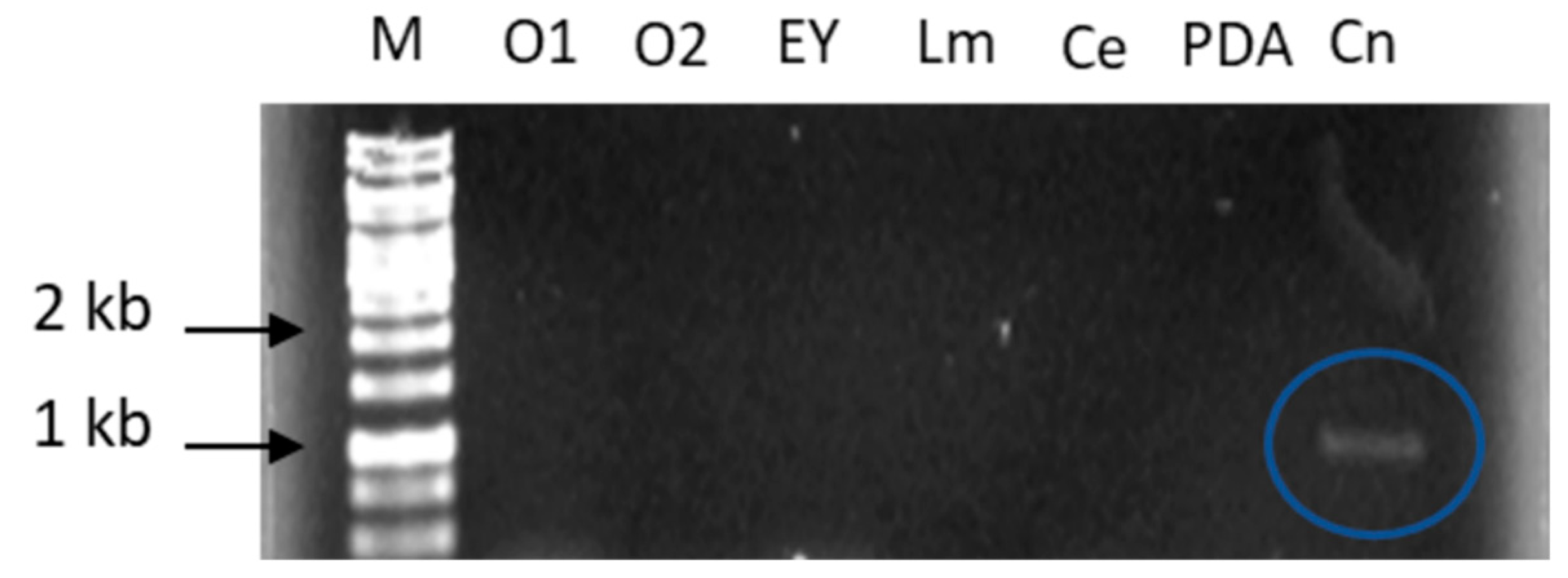 Ijms 23 09367 g001 550