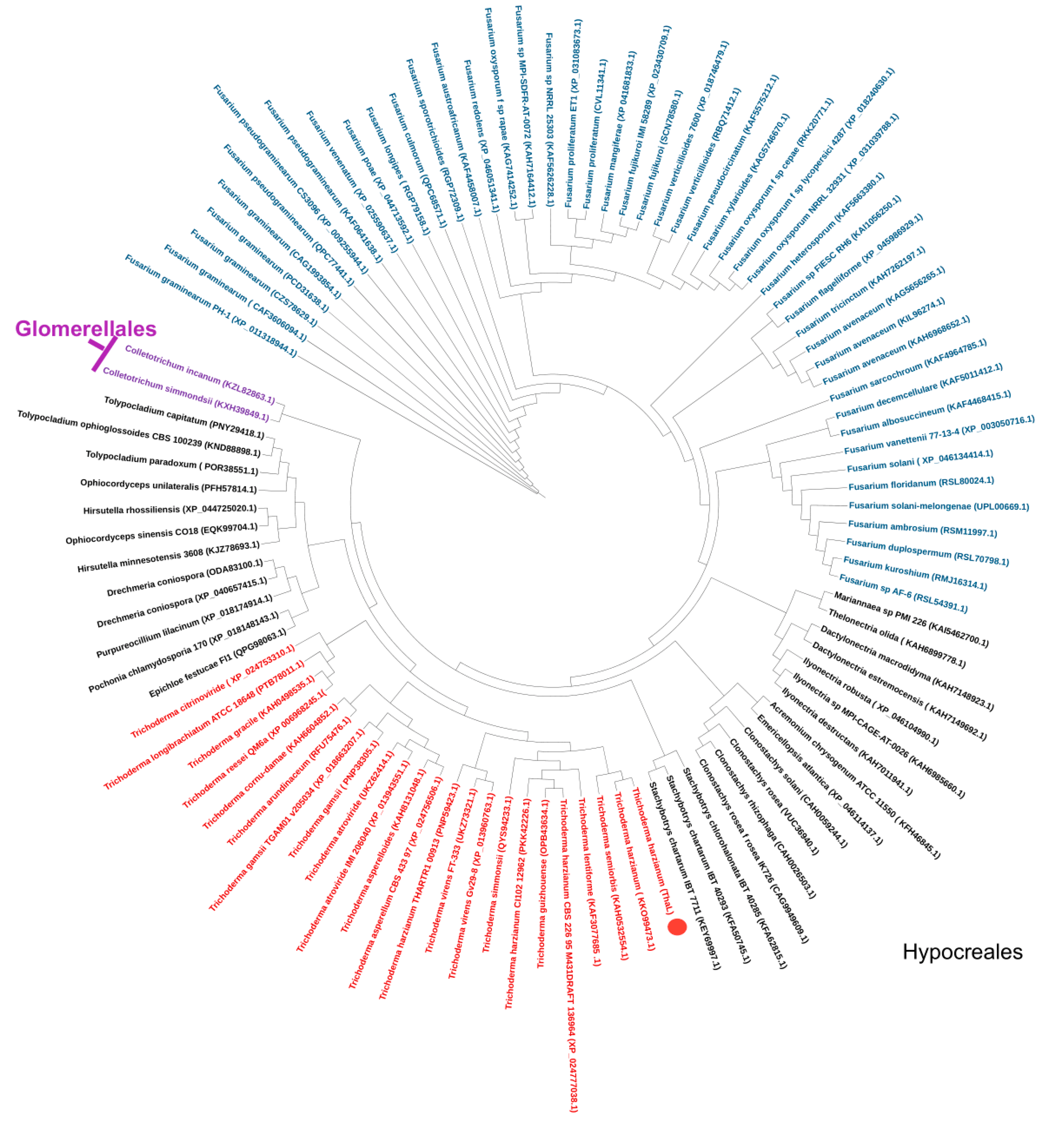 Ijms 23 09367 g002 550