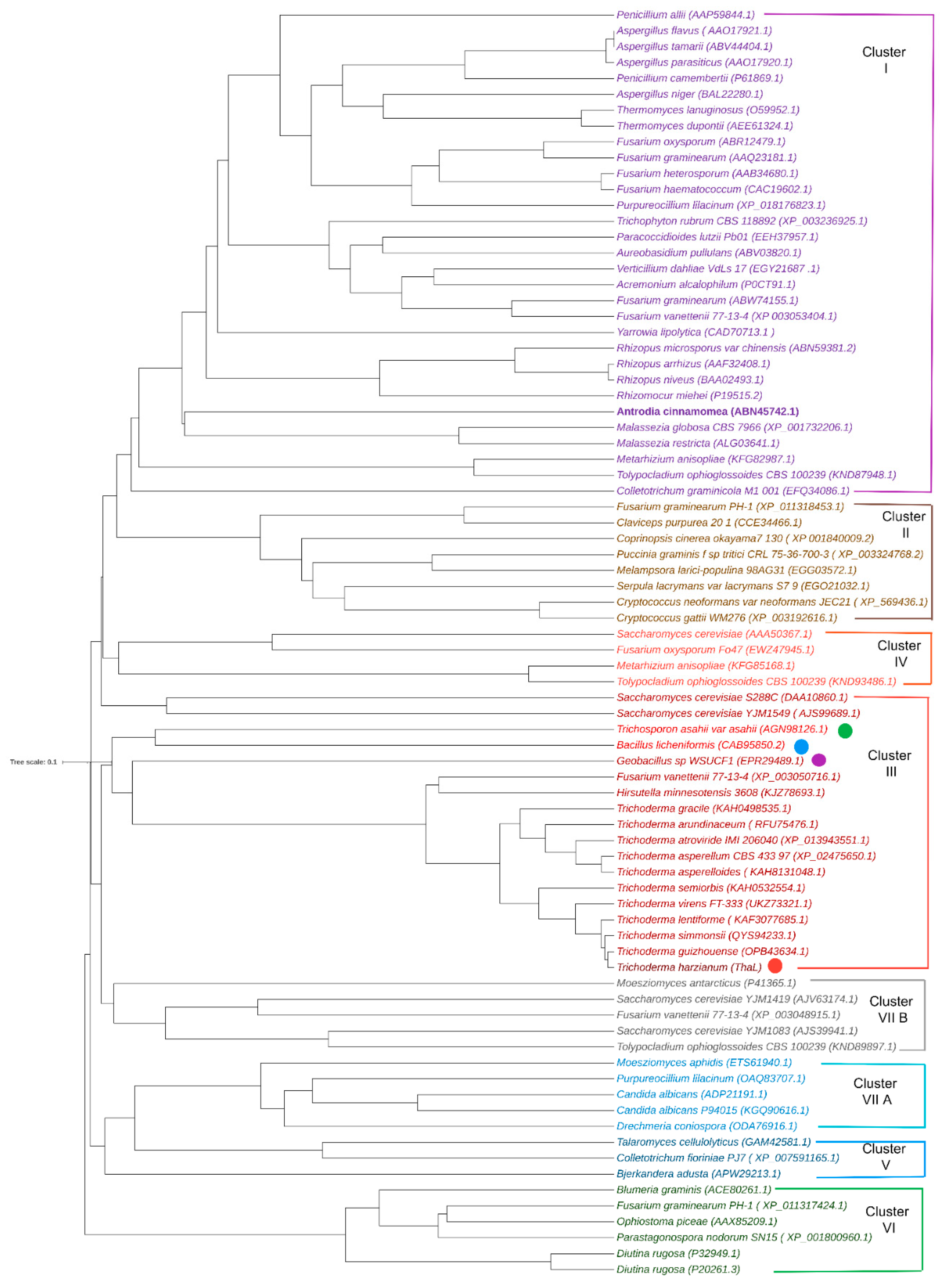 Ijms 23 09367 g003 550