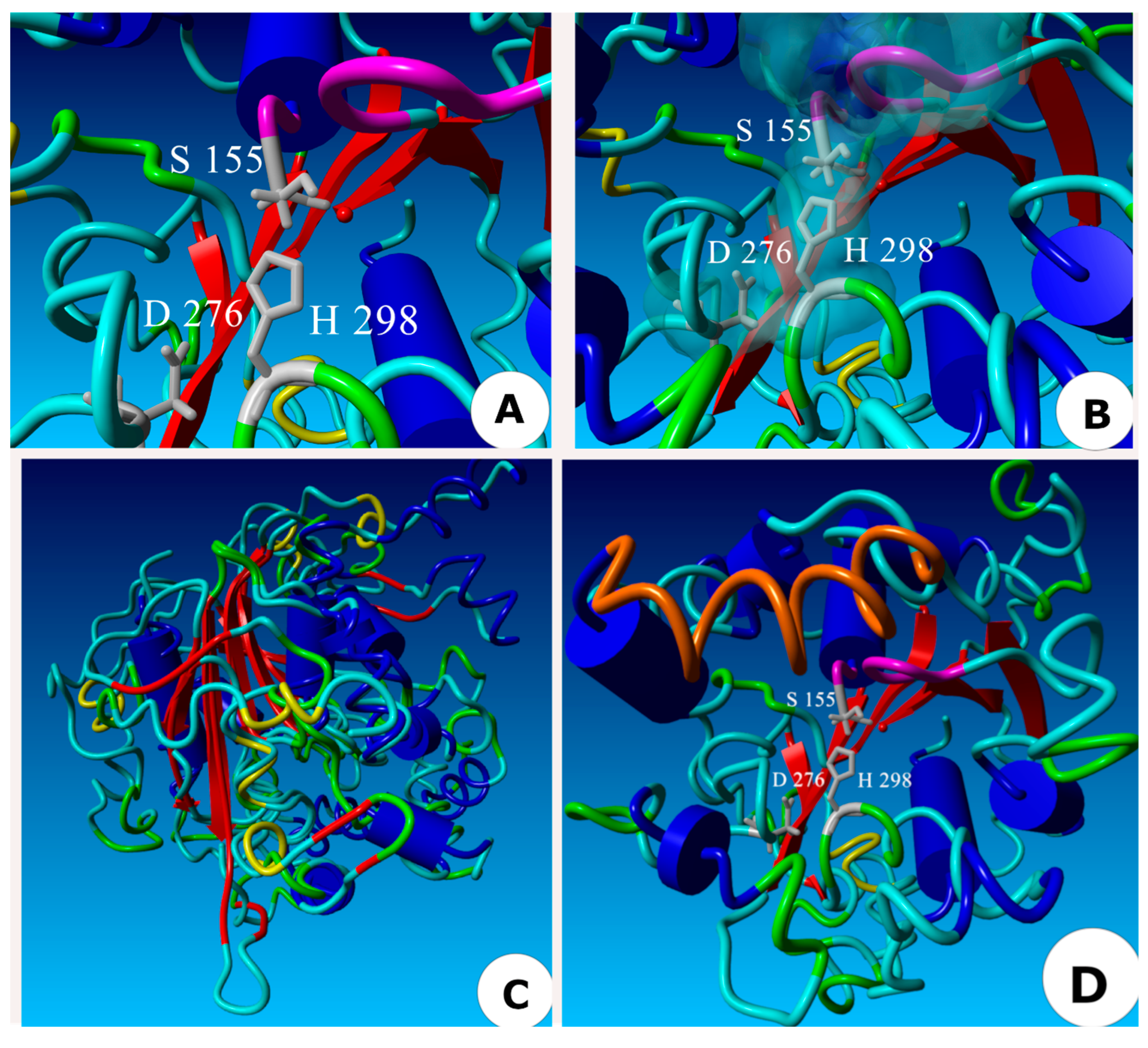 Ijms 23 09367 g004 550