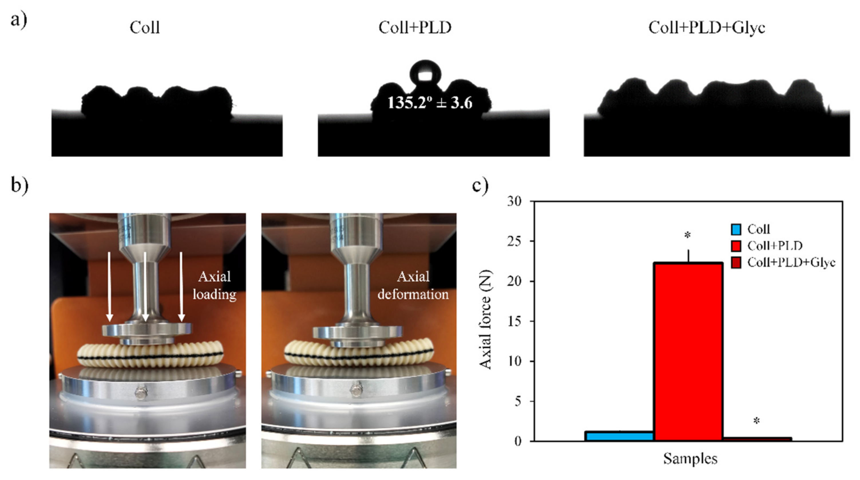 Ijms 23 09369 g002 550