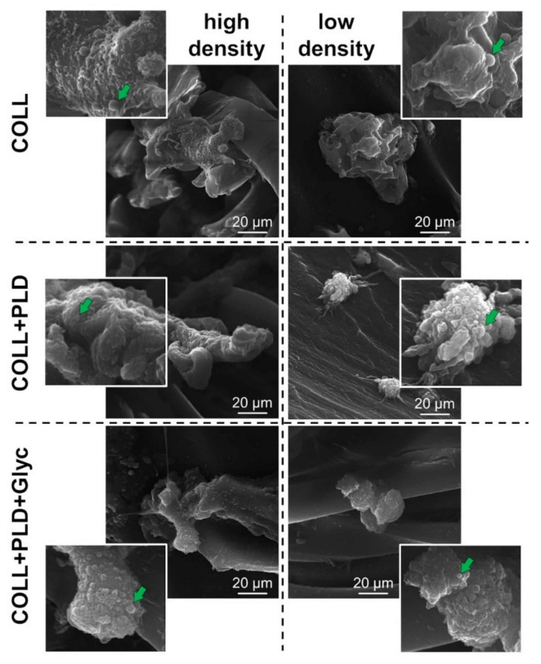 Ijms 23 09369 g005 550