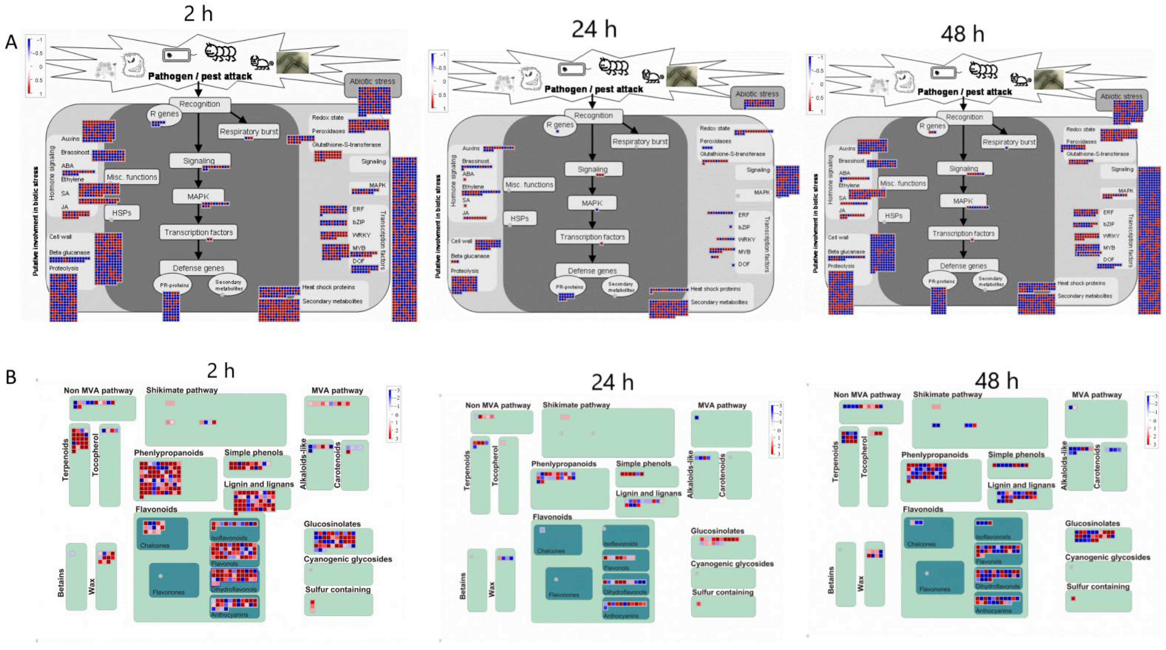 Ijms 23 09370 g005 550