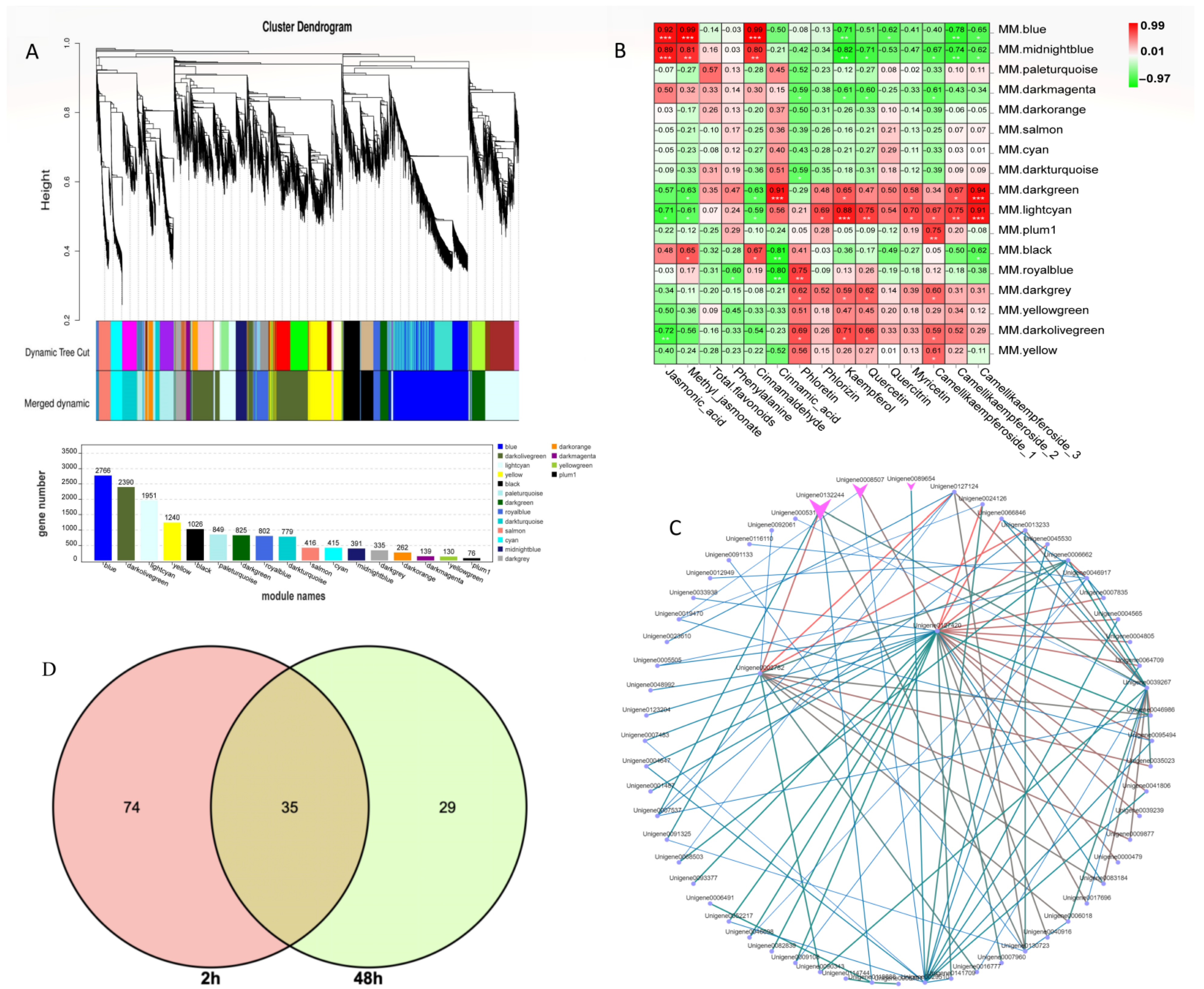 Ijms 23 09370 g006 550