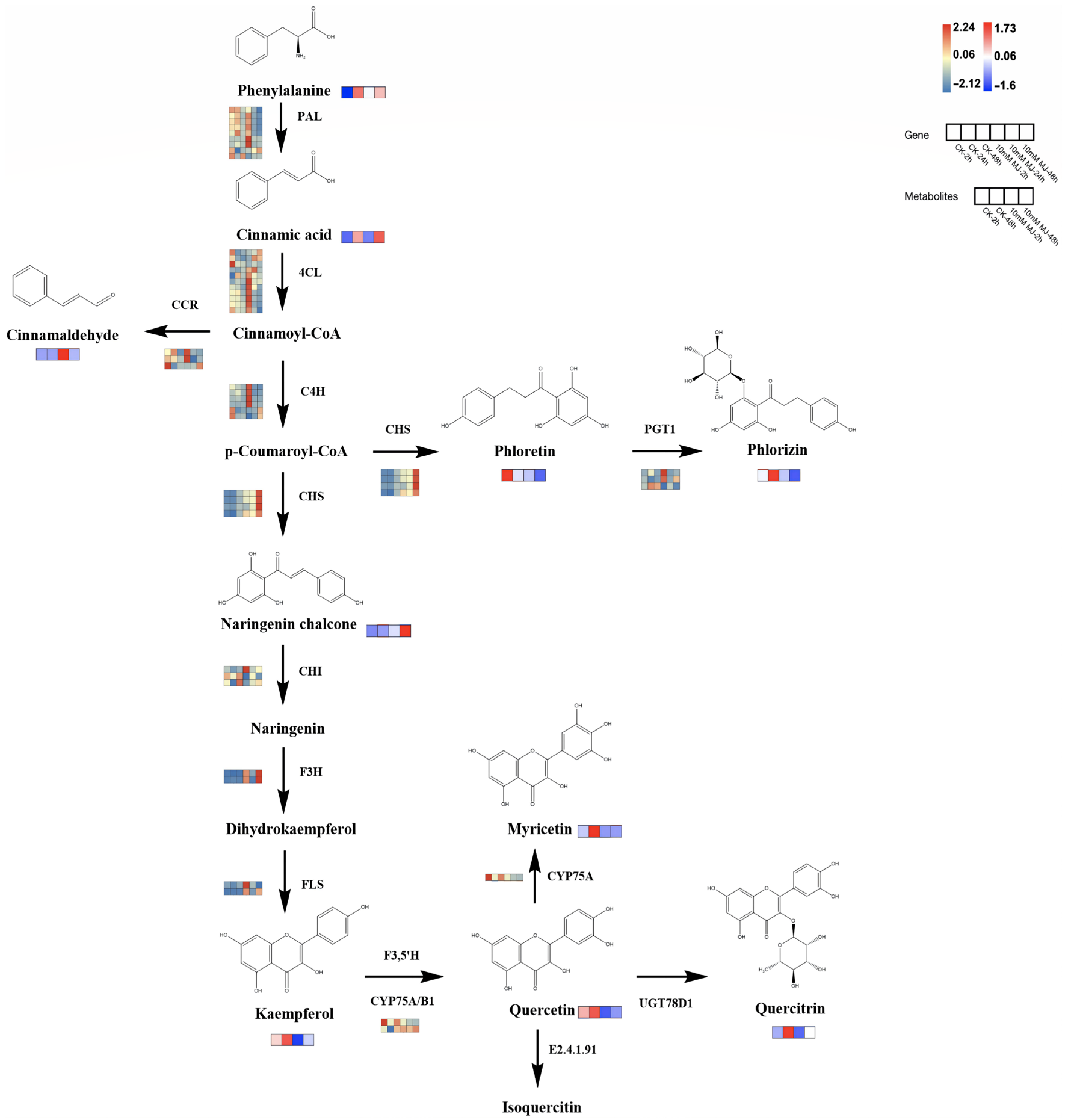 Ijms 23 09370 g007 550
