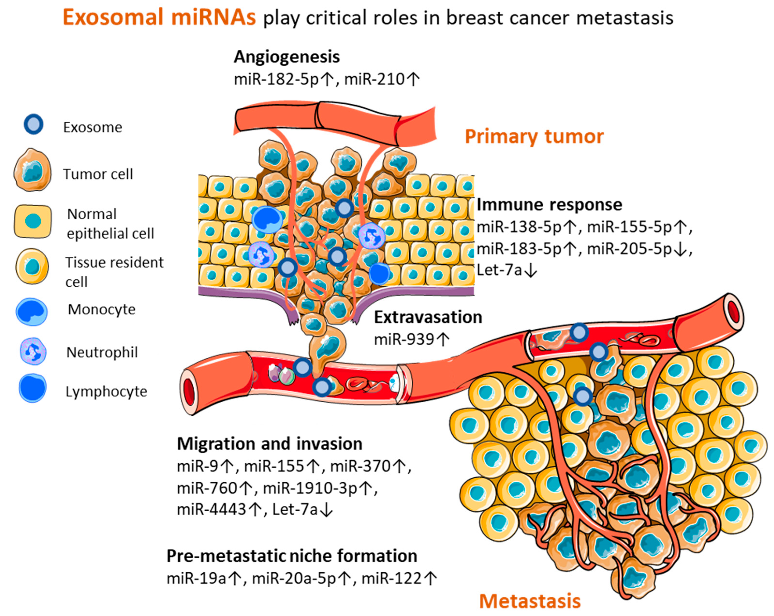 Ijms 23 09371 g003 550