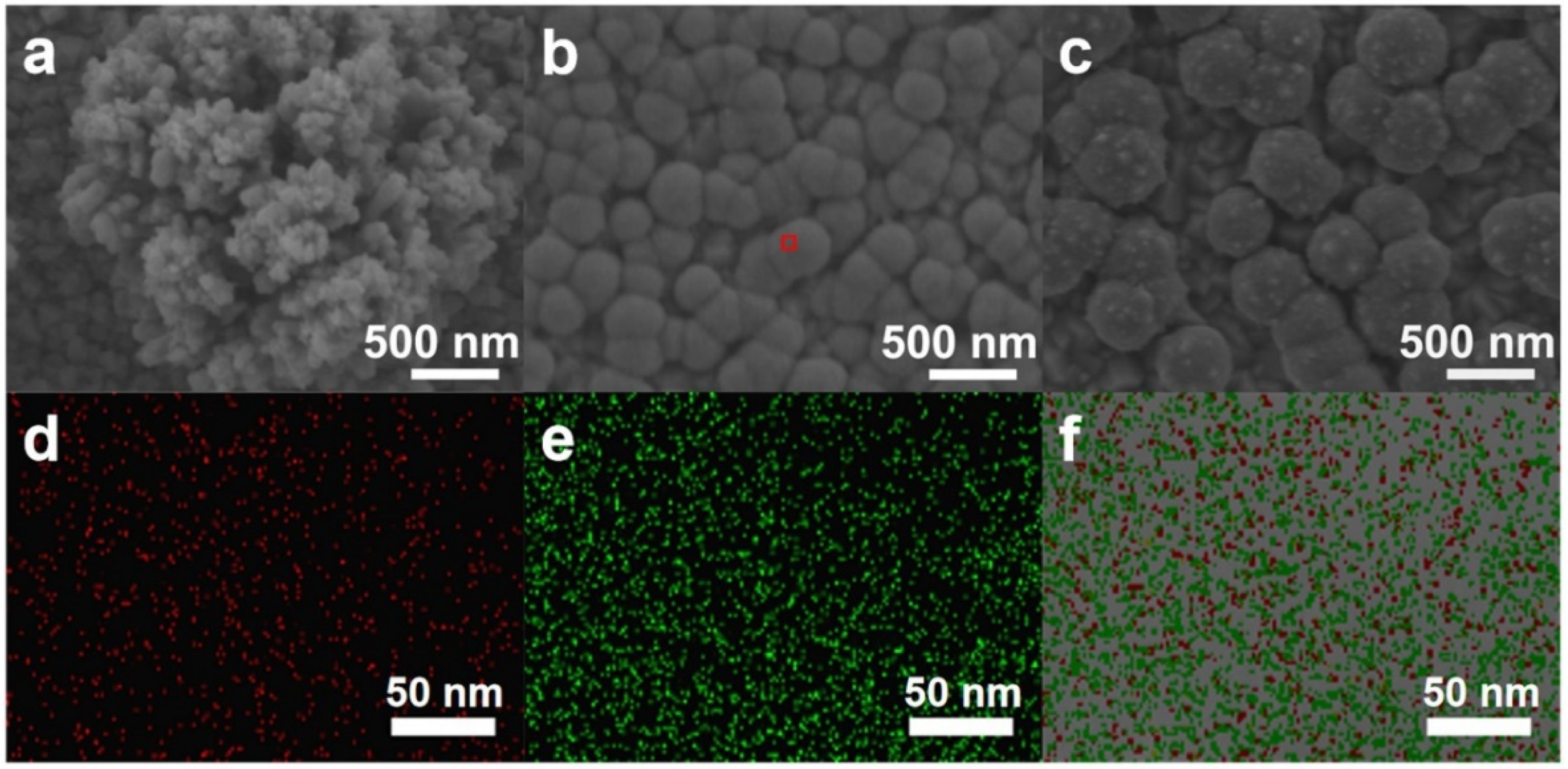 Ijms 23 09373 g001 550