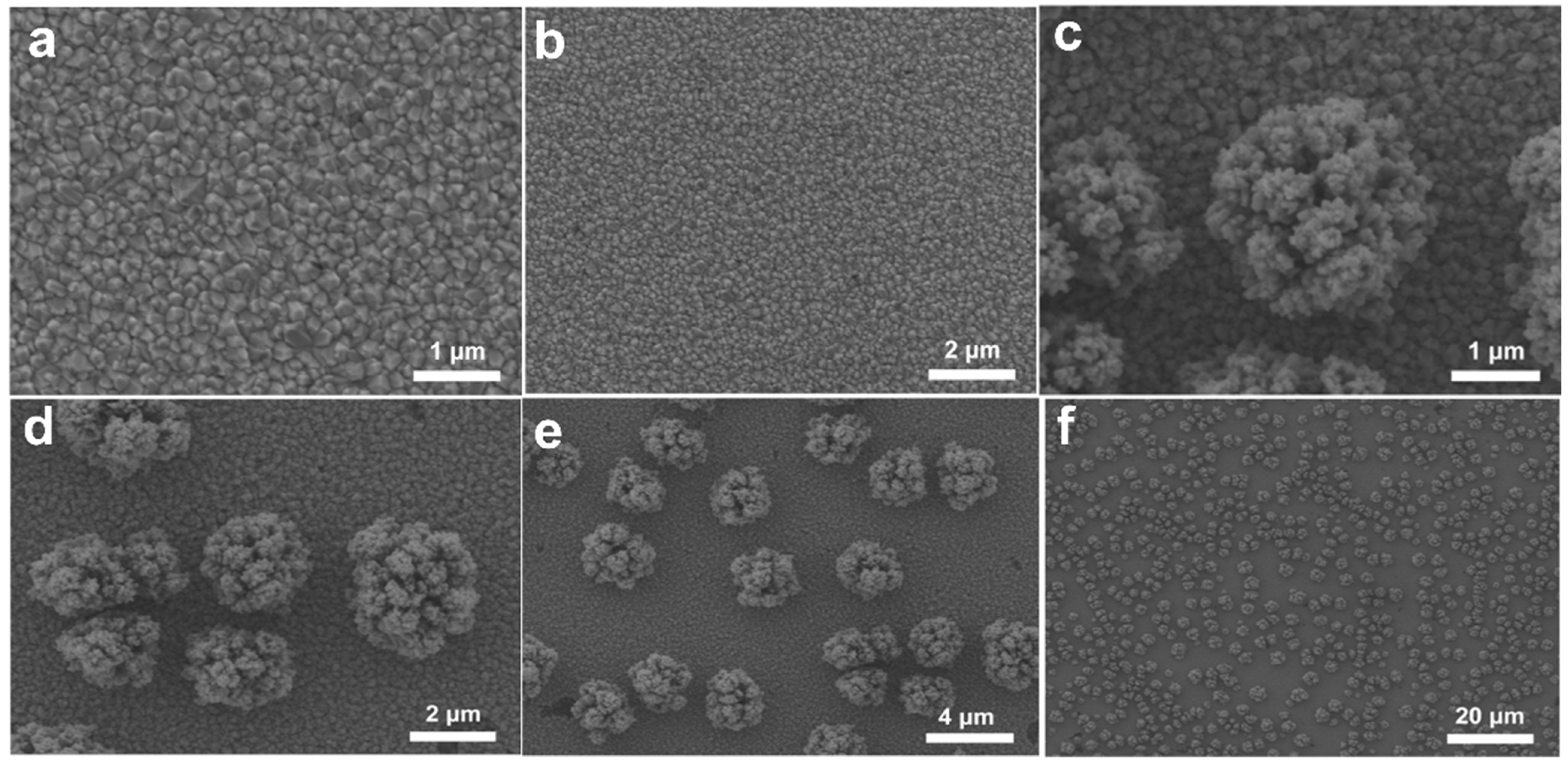 Ijms 23 09373 g002 550