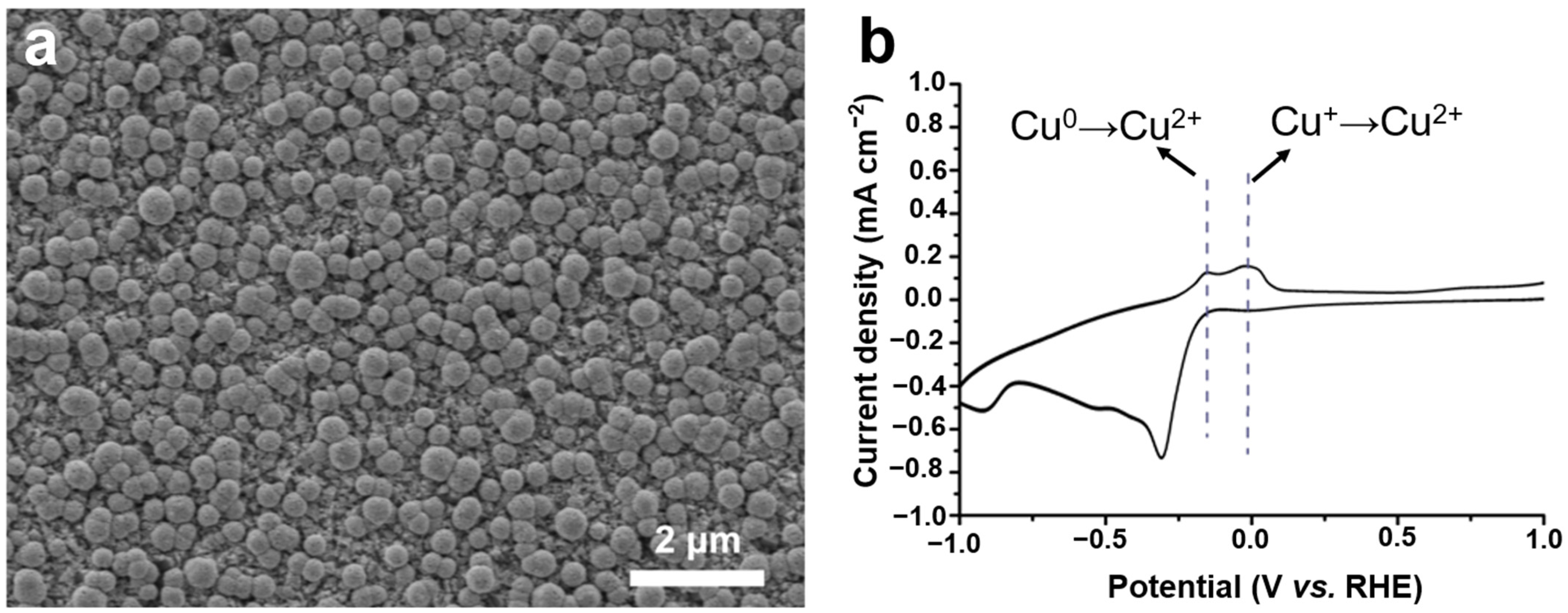 Ijms 23 09373 g011 550