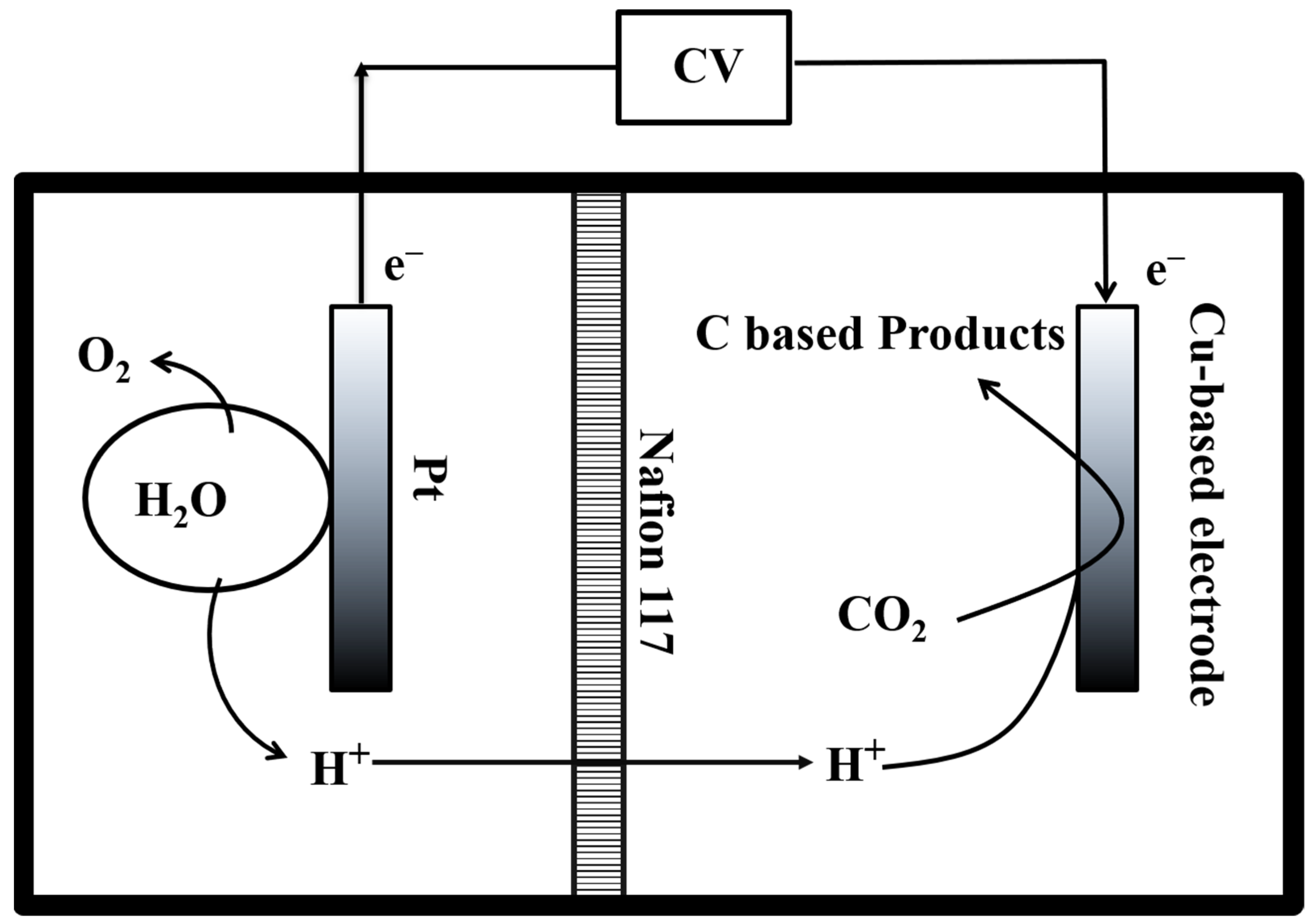Ijms 23 09373 g017 550