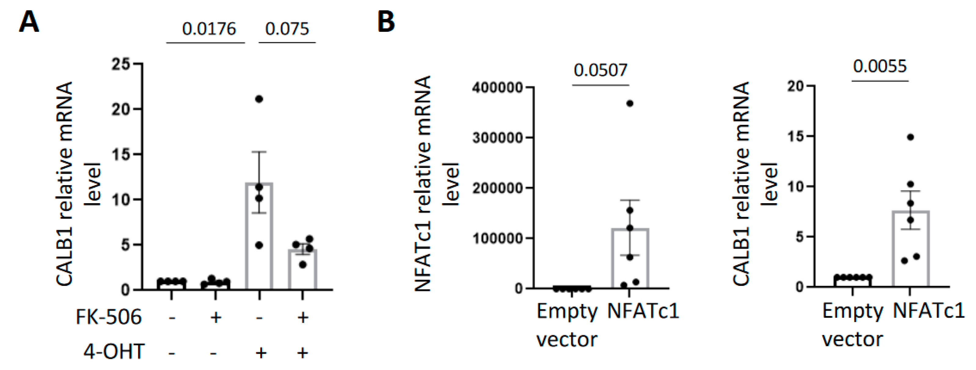 Ijms 23 09376 g003 Ijms 23 09376 g003