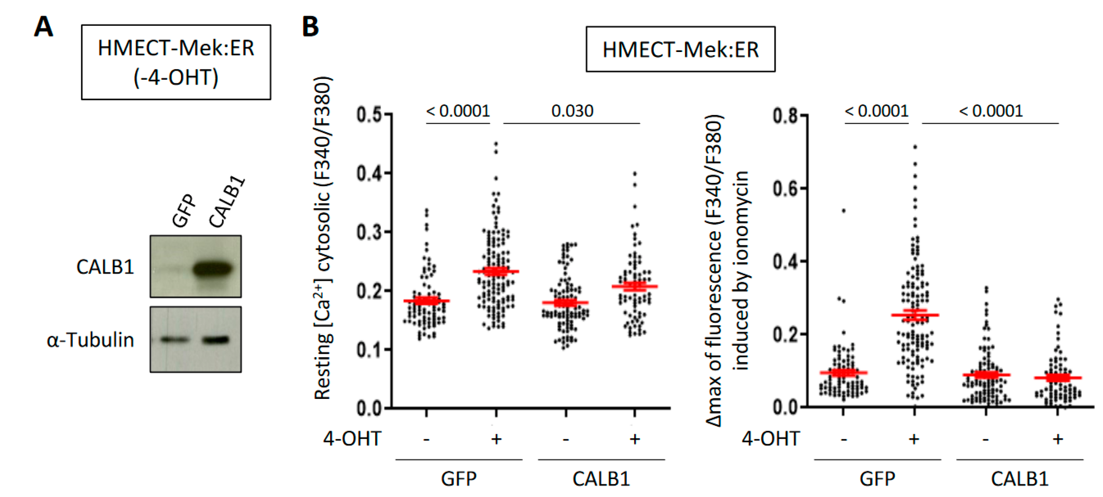 Ijms 23 09376 g004 Ijms 23 09376 g004