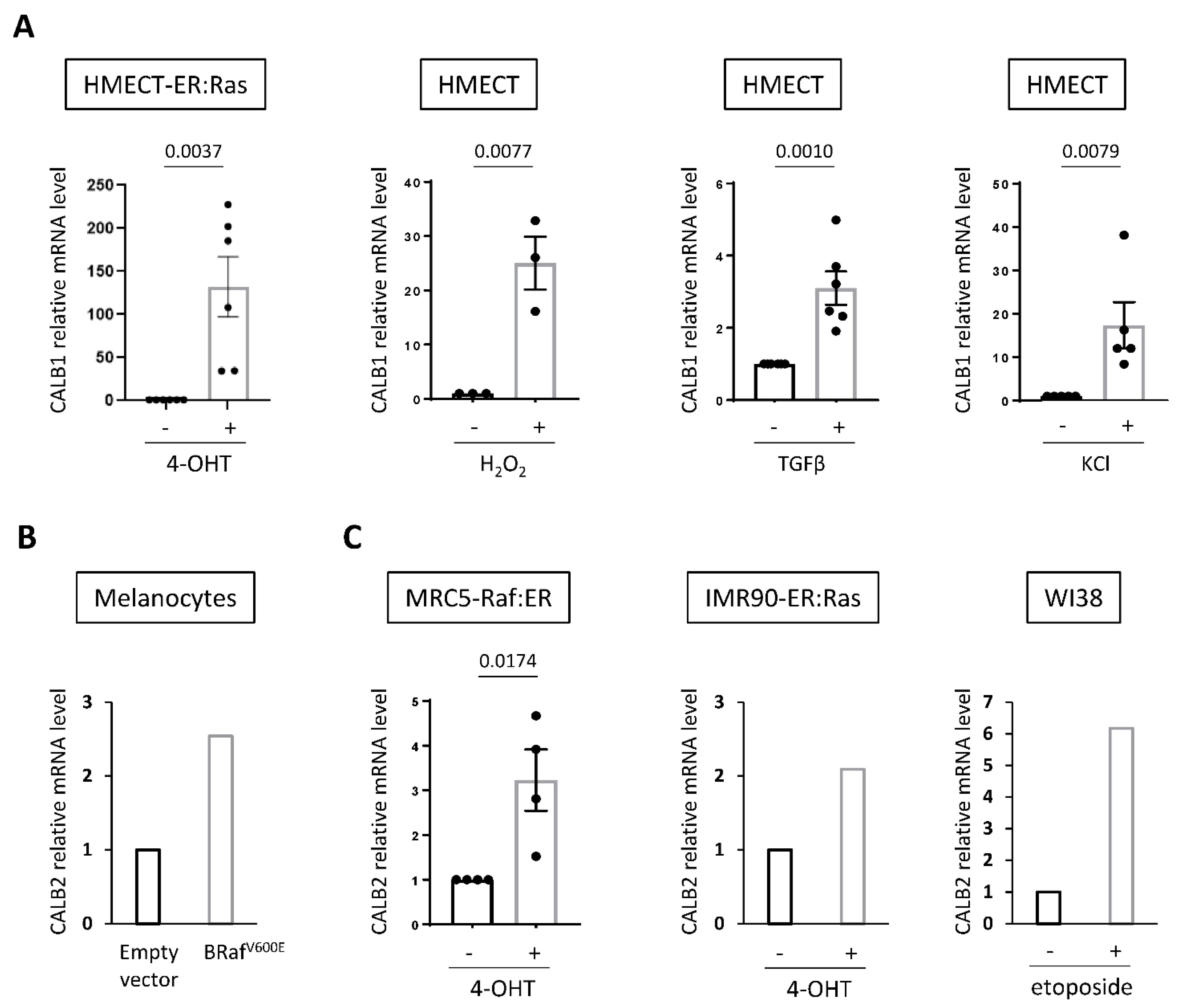 Ijms 23 09376 g005 Ijms 23 09376 g005