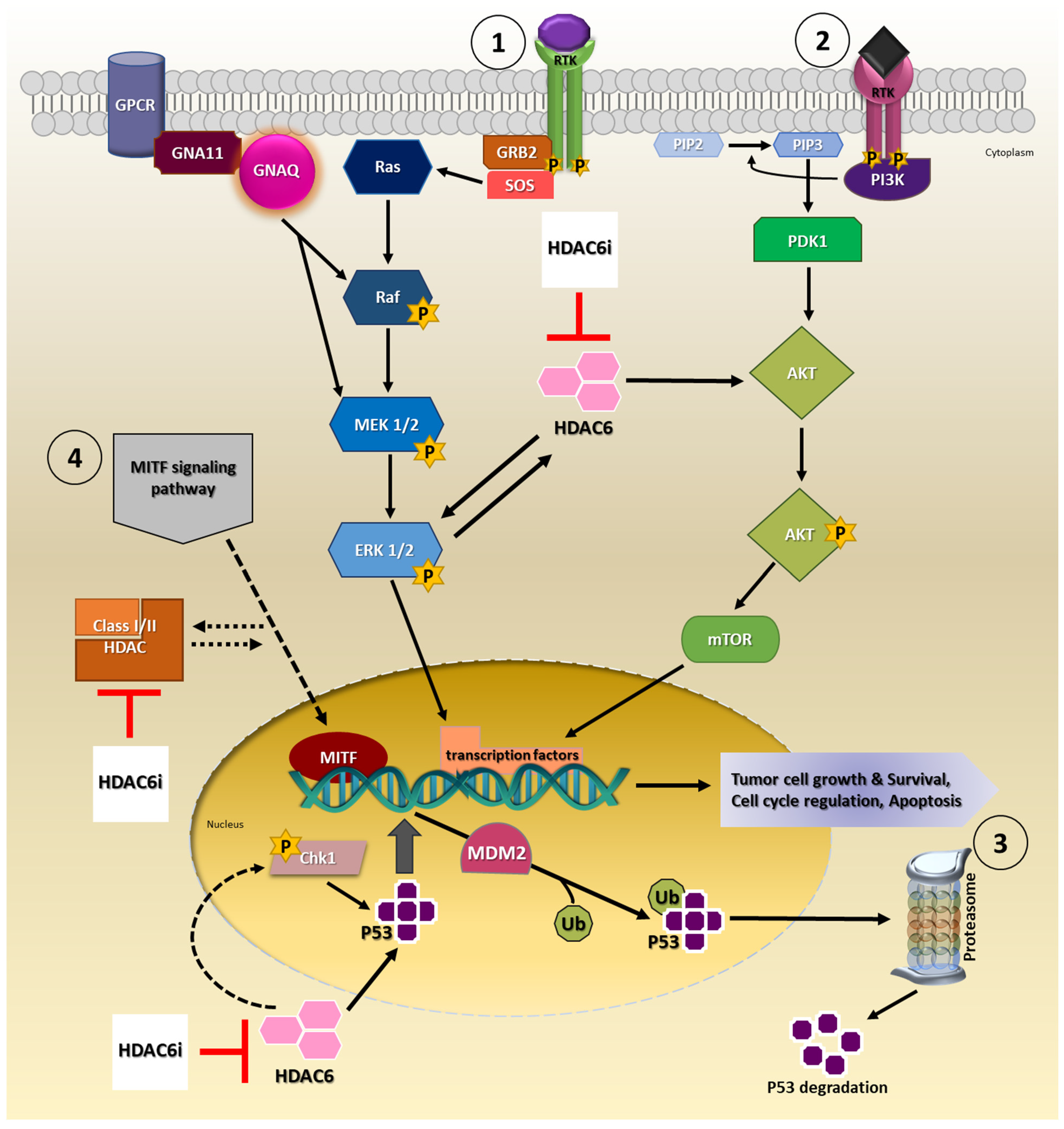 Ijms 23 09378 g001 Ijms 23 09378 g001