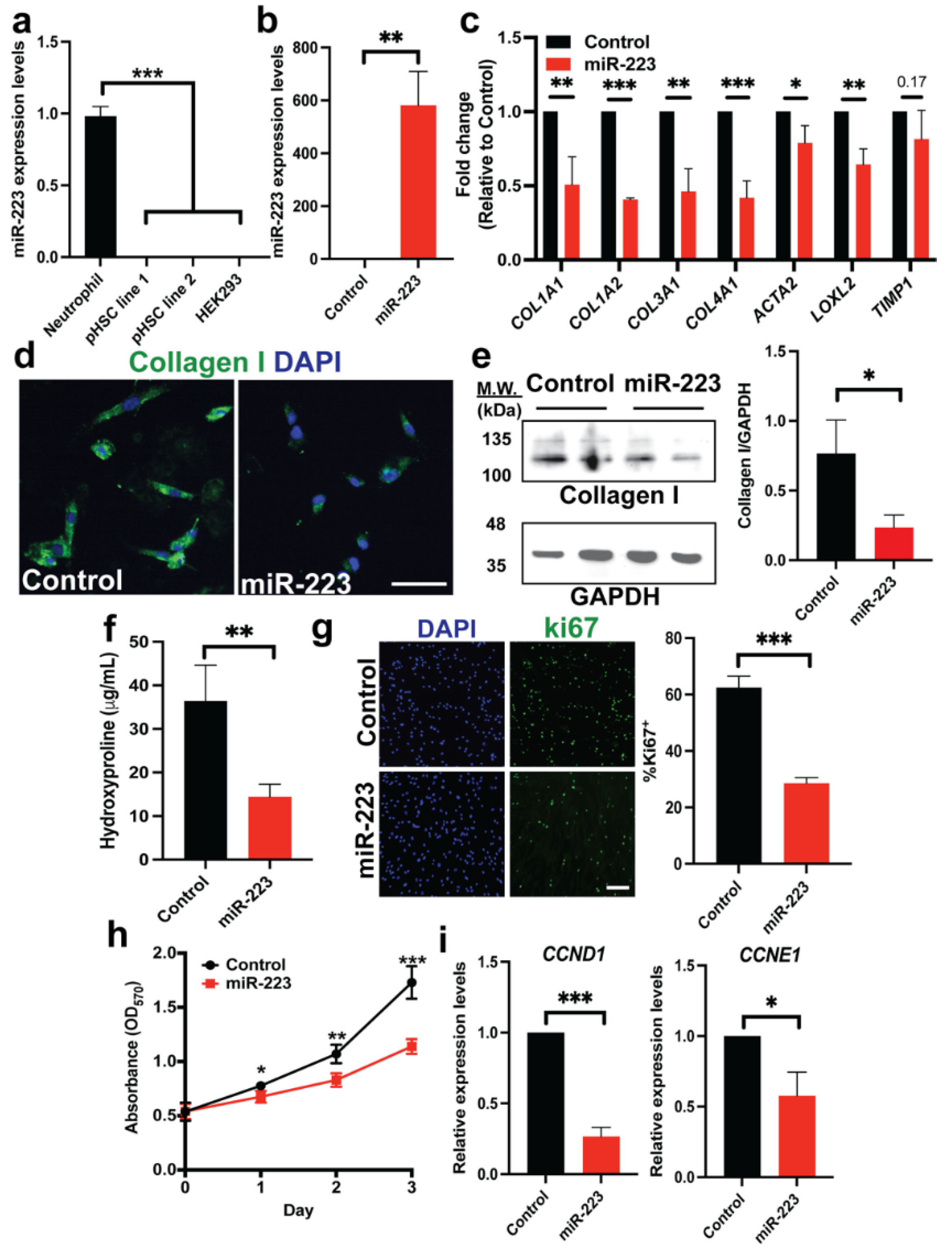 Ijms 23 09380 g001 550