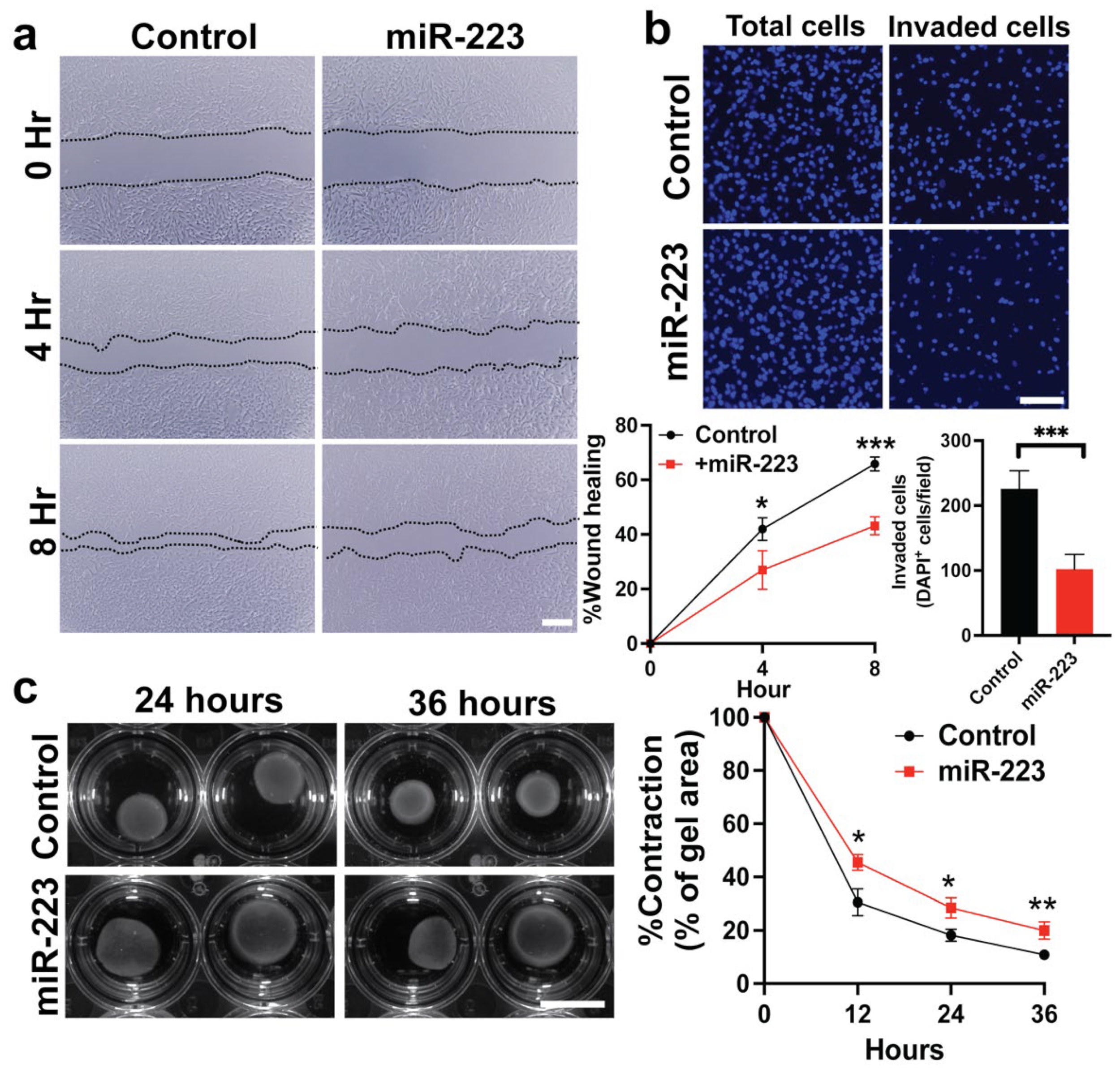 Ijms 23 09380 g003 550