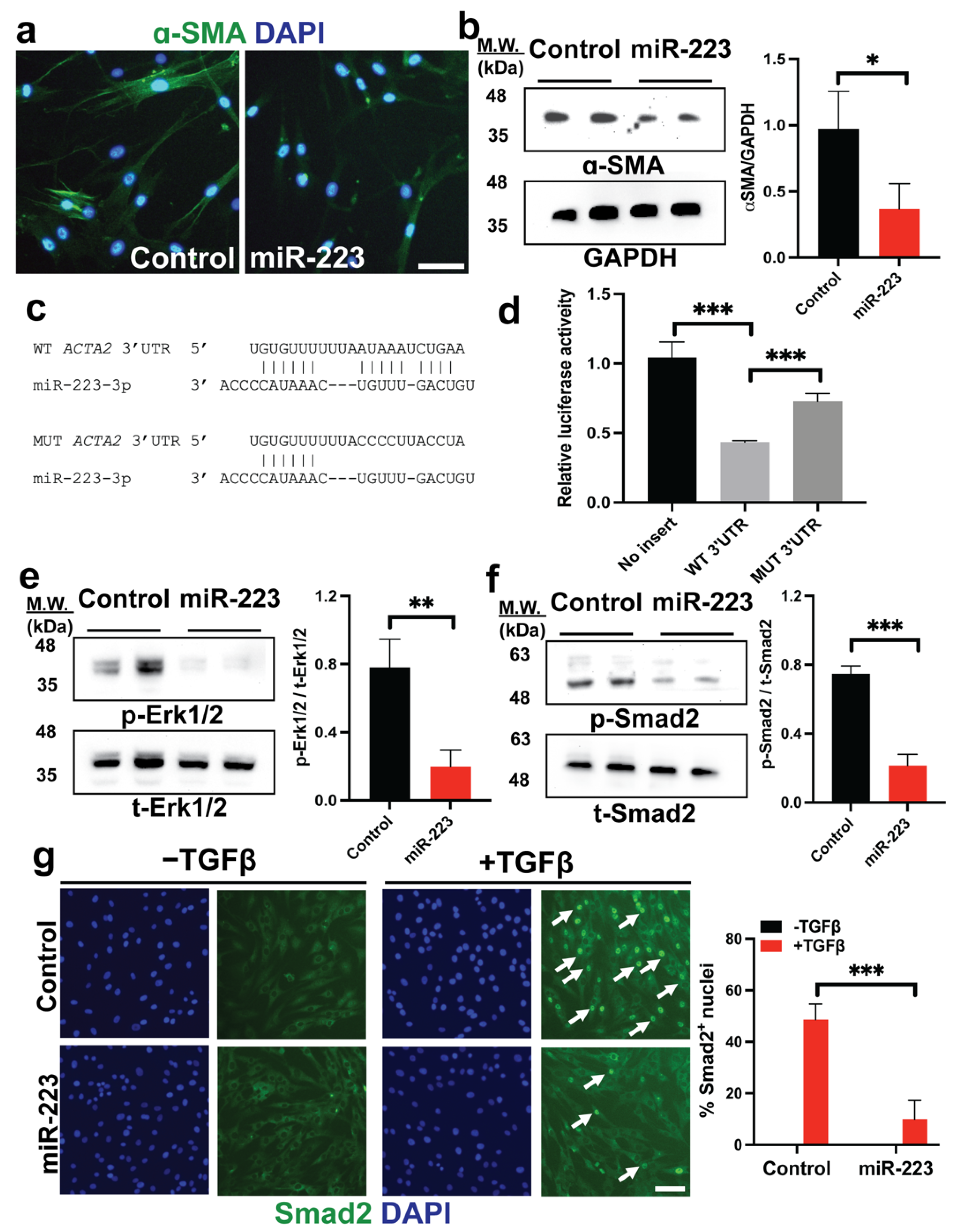 Ijms 23 09380 g004 550