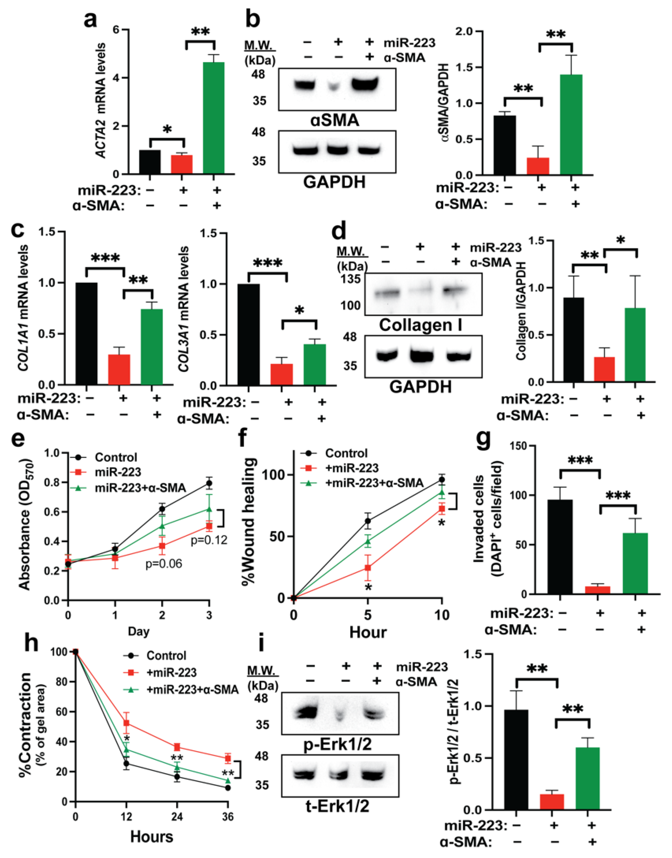 Ijms 23 09380 g005 550