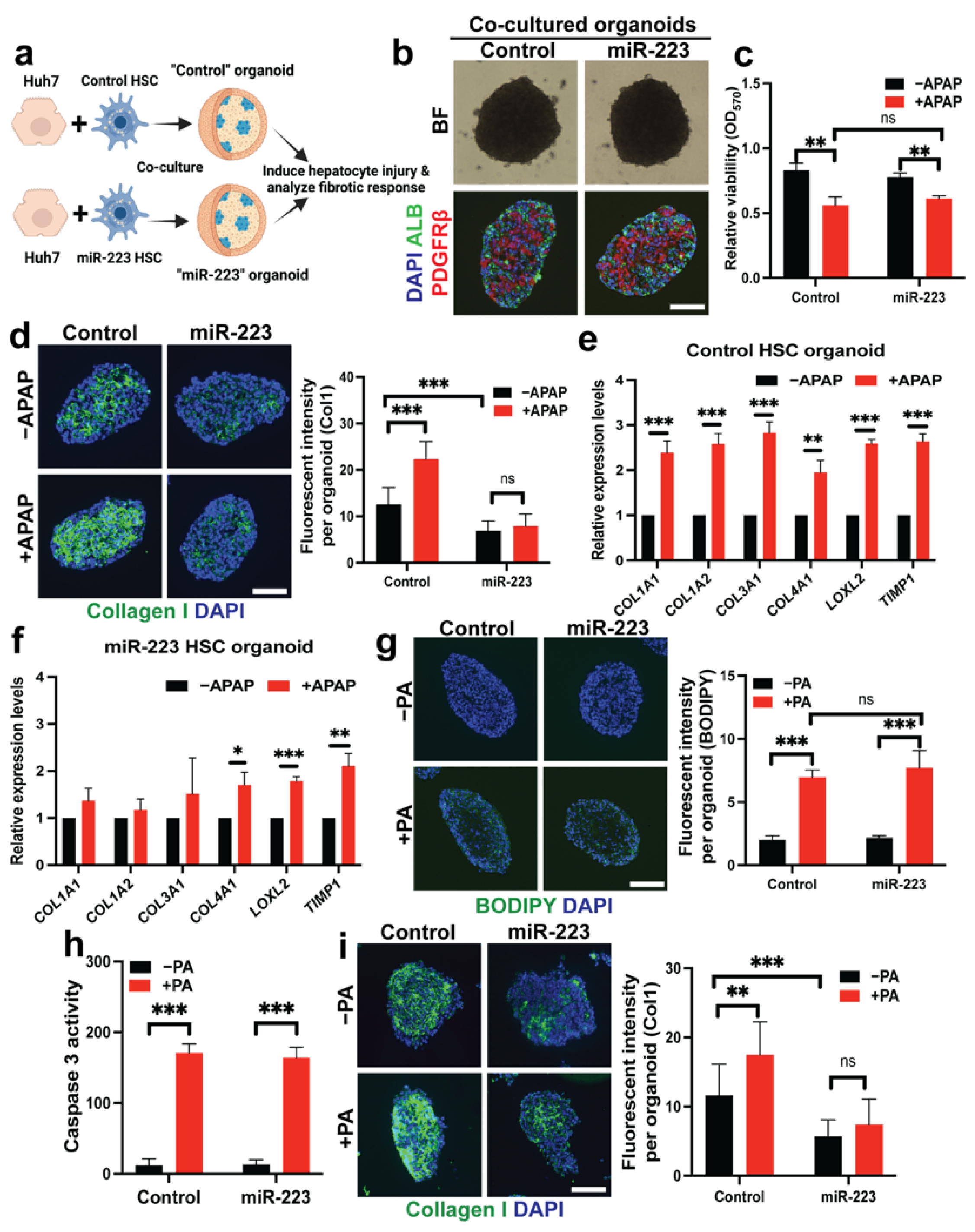 Ijms 23 09380 g006 550