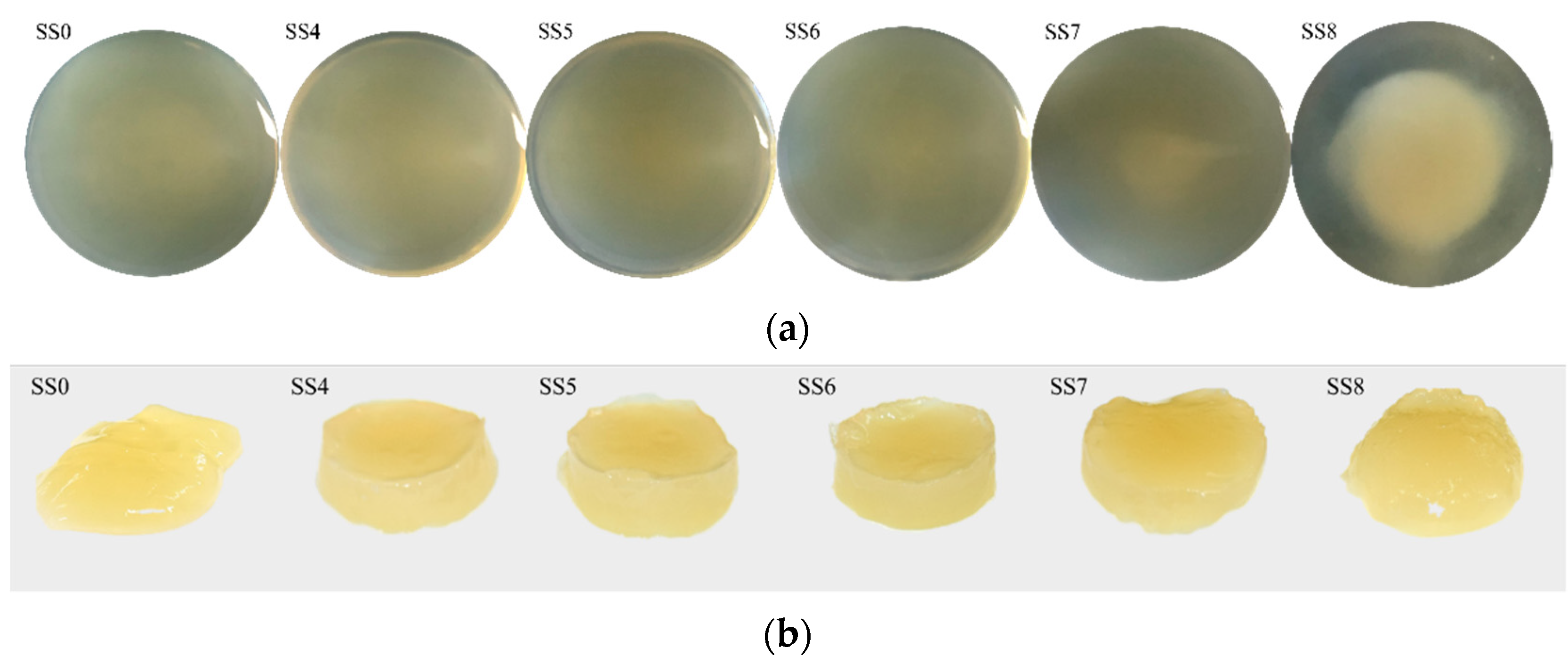 Ijms 23 09383 g001 550