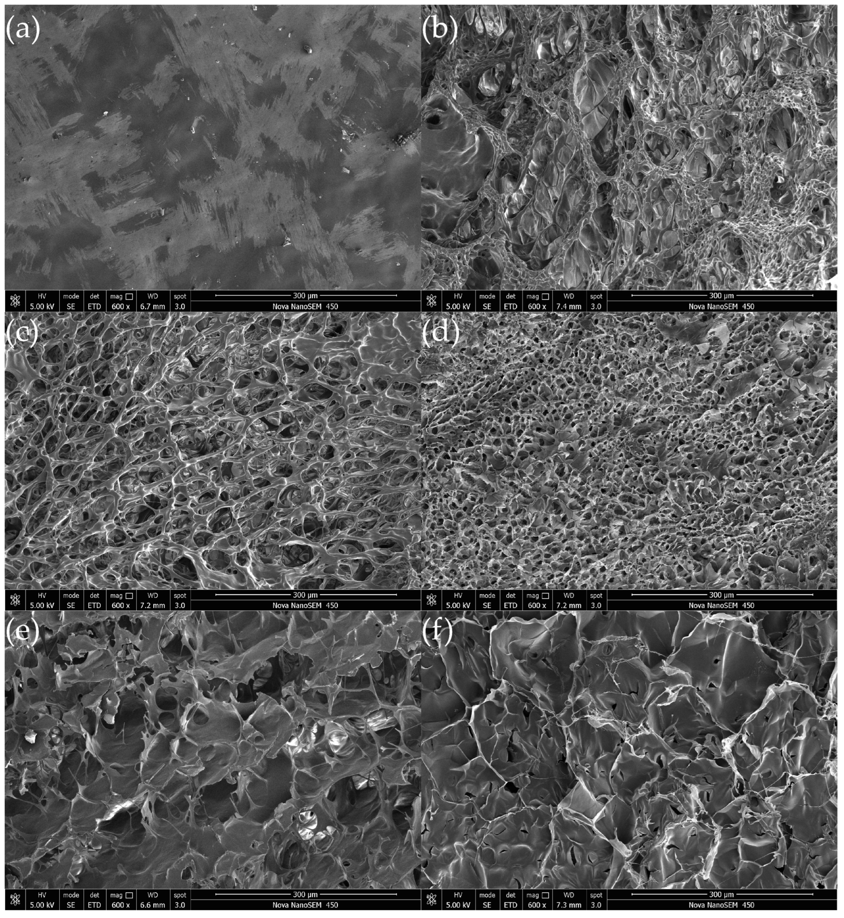 Ijms 23 09383 g003 550